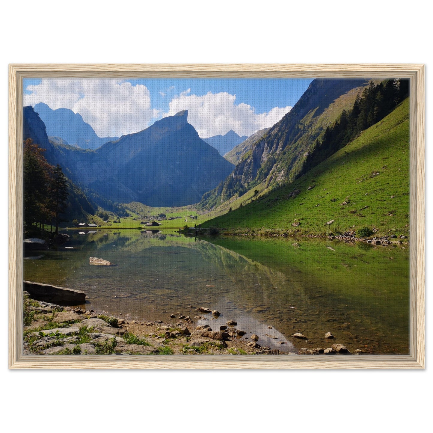 d50864b0-c862-4bd9-ad09-31598fb00204