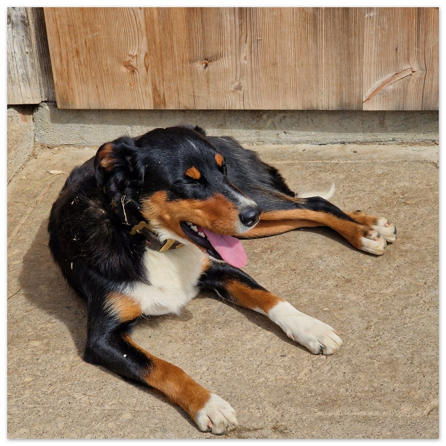 d5489c8f-0d60-4e9f-ae4b-eb854e9819f2