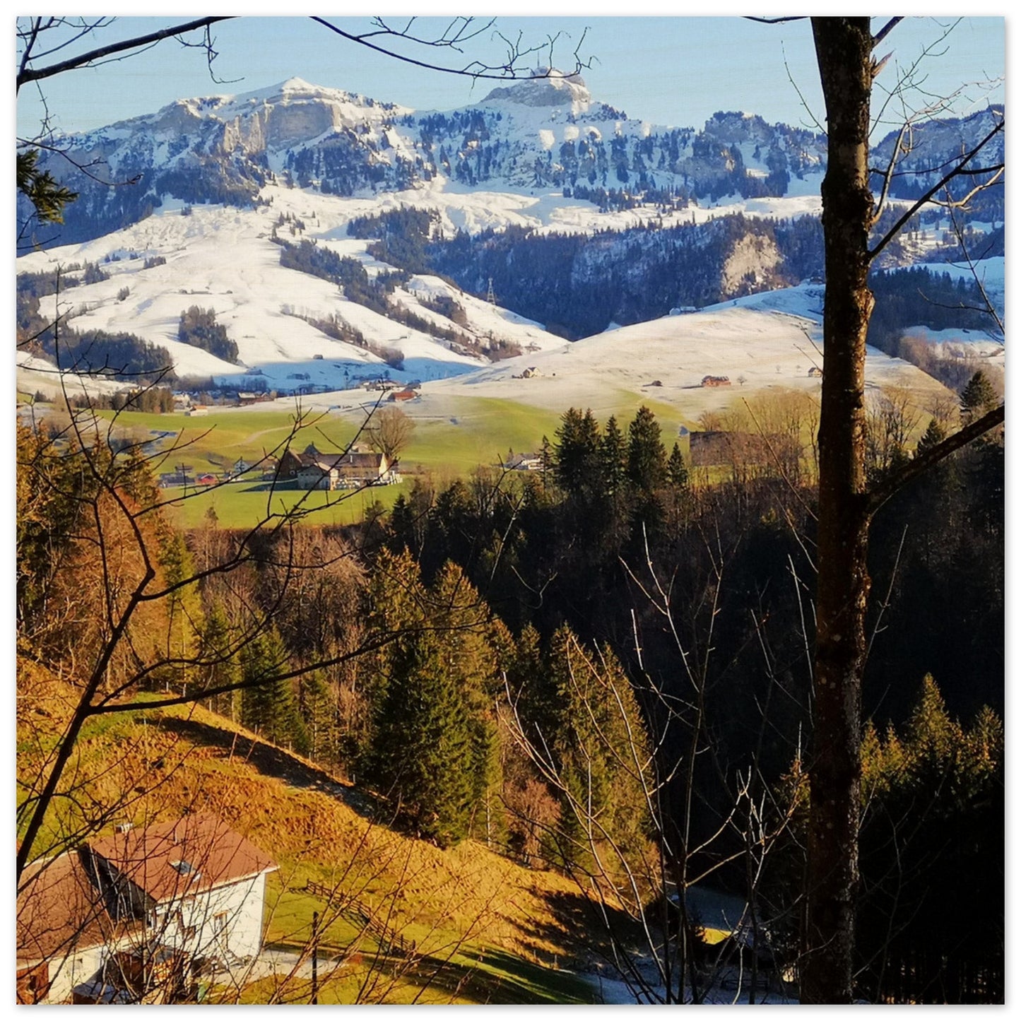 d598cadb-b52c-4662-9605-10ee20f4f9a3