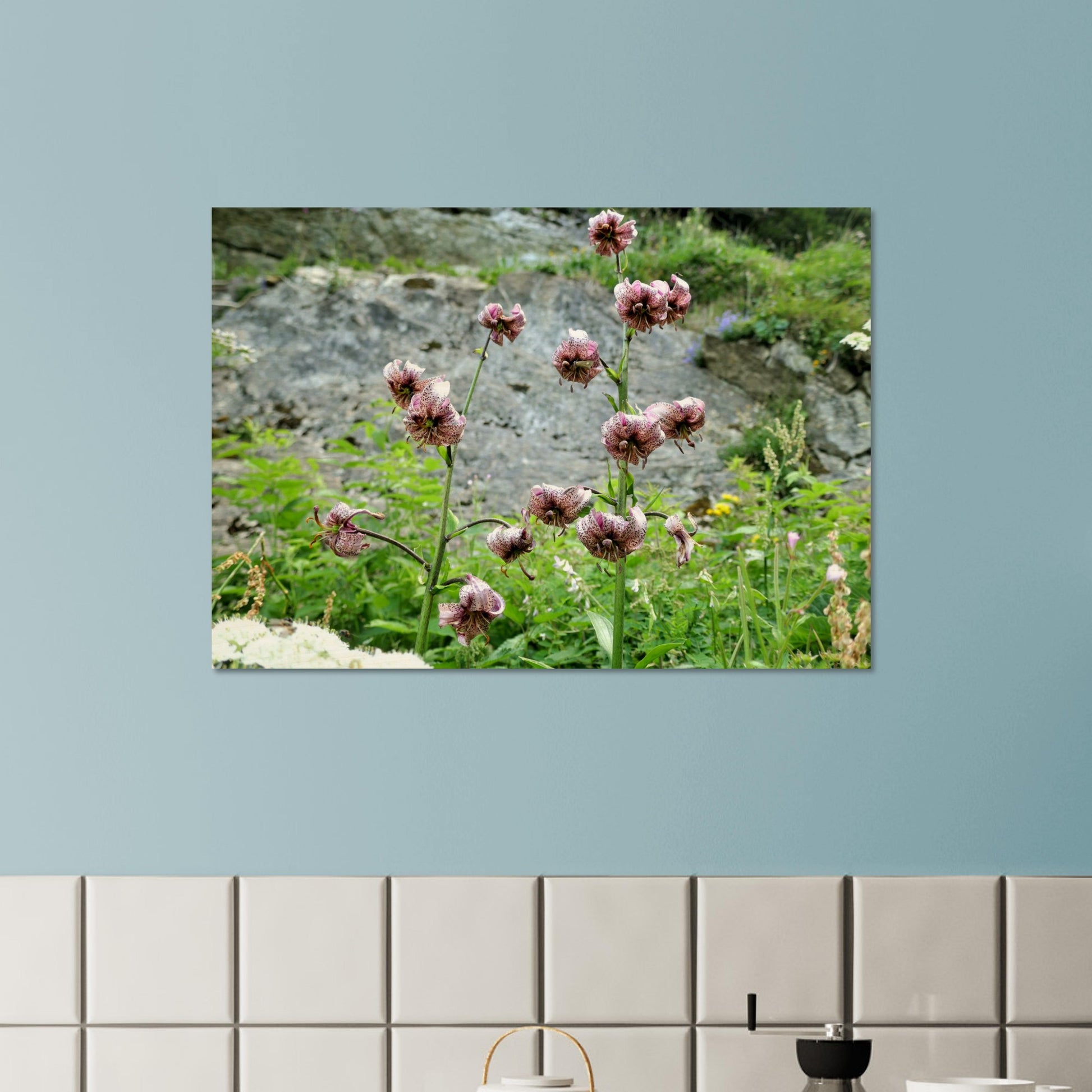 d600cd64-c3ac-4d6e-a864-247fcc8a812c