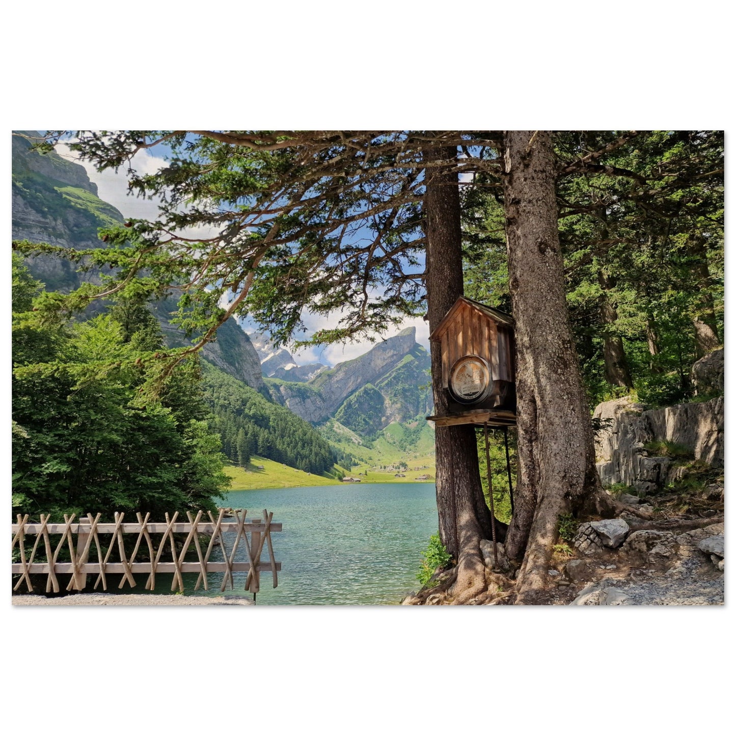 d70da01b-45a5-4b2b-8dca-d7fb0c63dddb