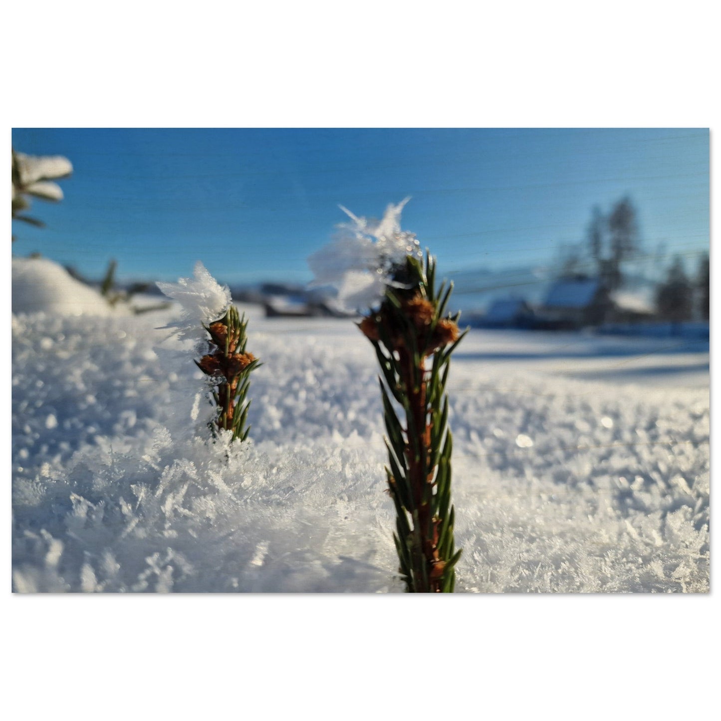 d859108f-f721-480c-bdab-c4b50b168fc9