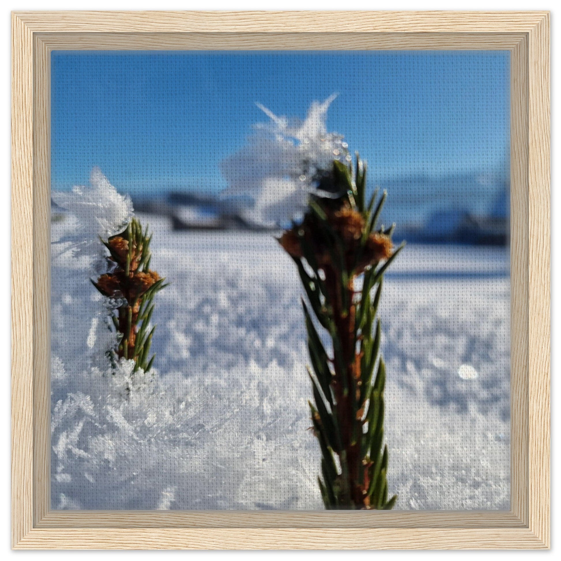 d8b136b5-6912-4483-b570-60a393612e7f