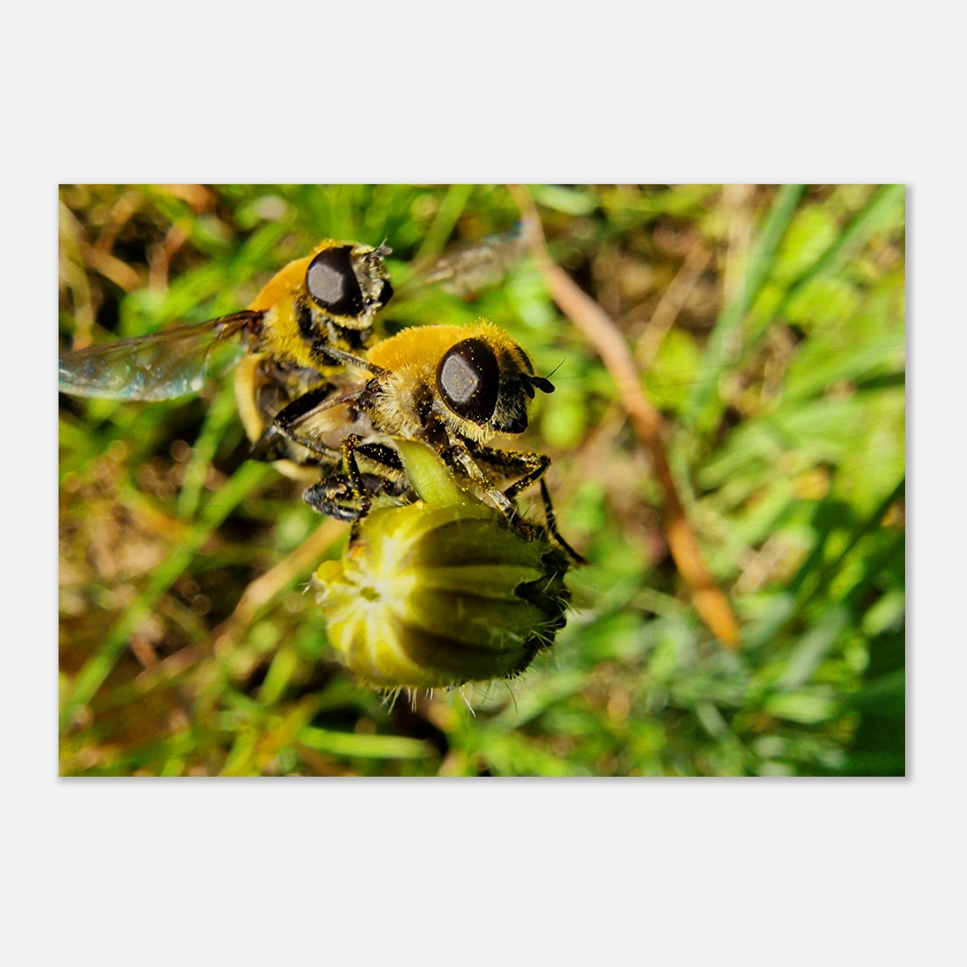 d8e69f03-b511-418e-b974-97004fc96940