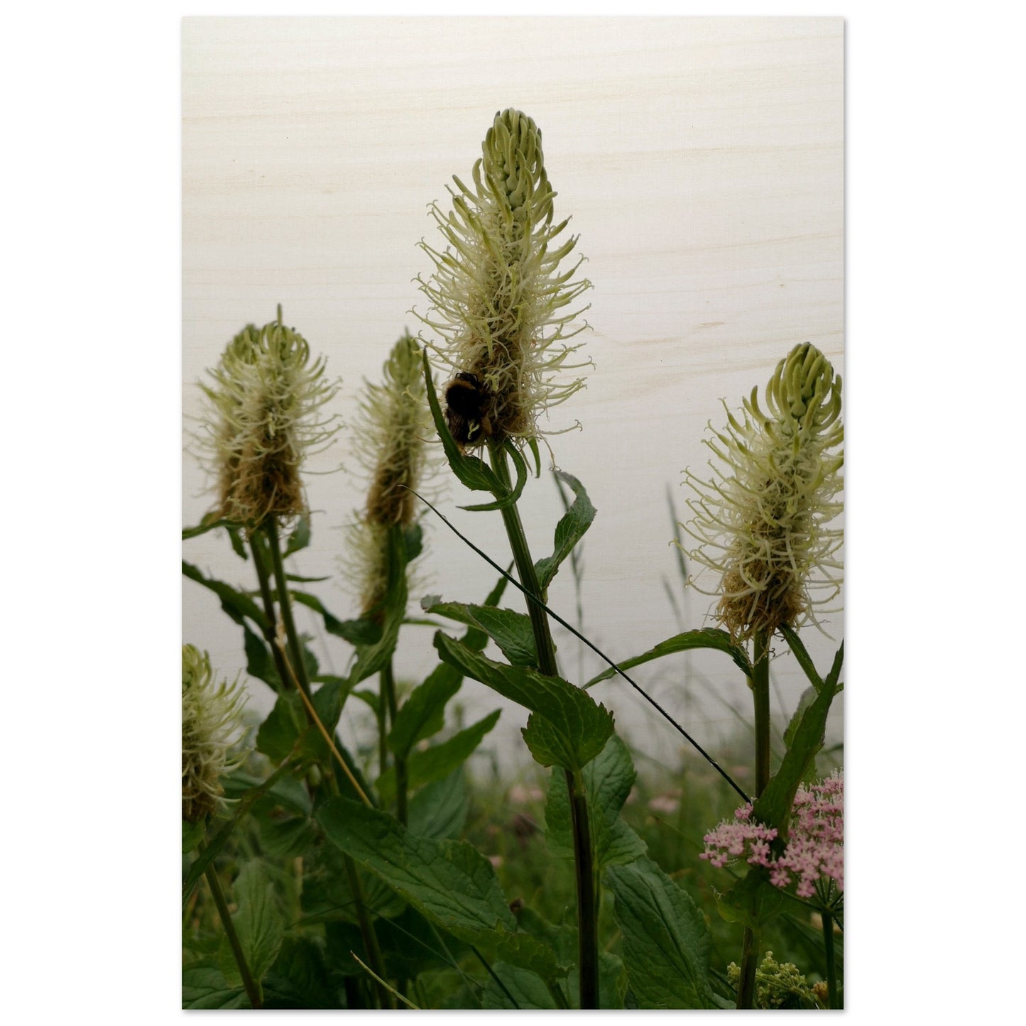 d974f24b-7f16-46b4-80ed-be8df0745ed6