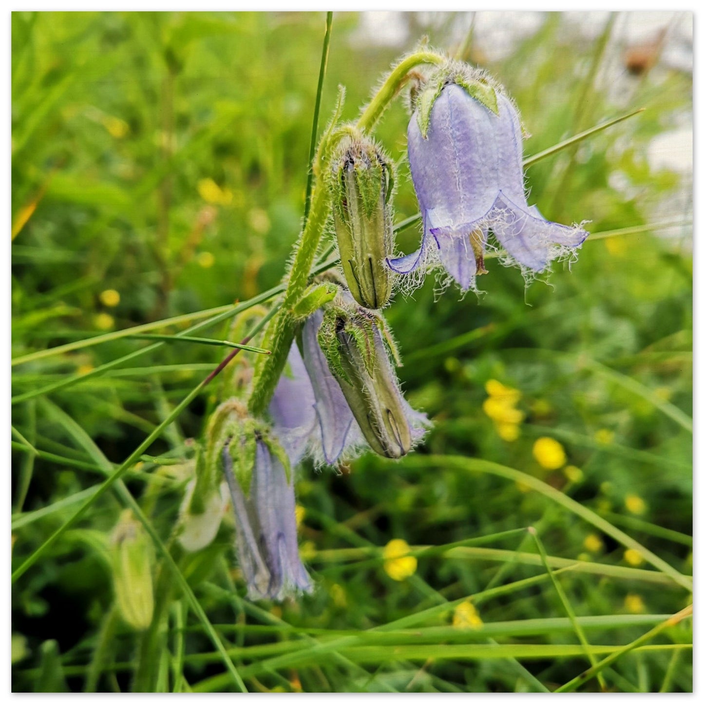 d9964c38-0589-4a6a-8bb9-551f850b62cf