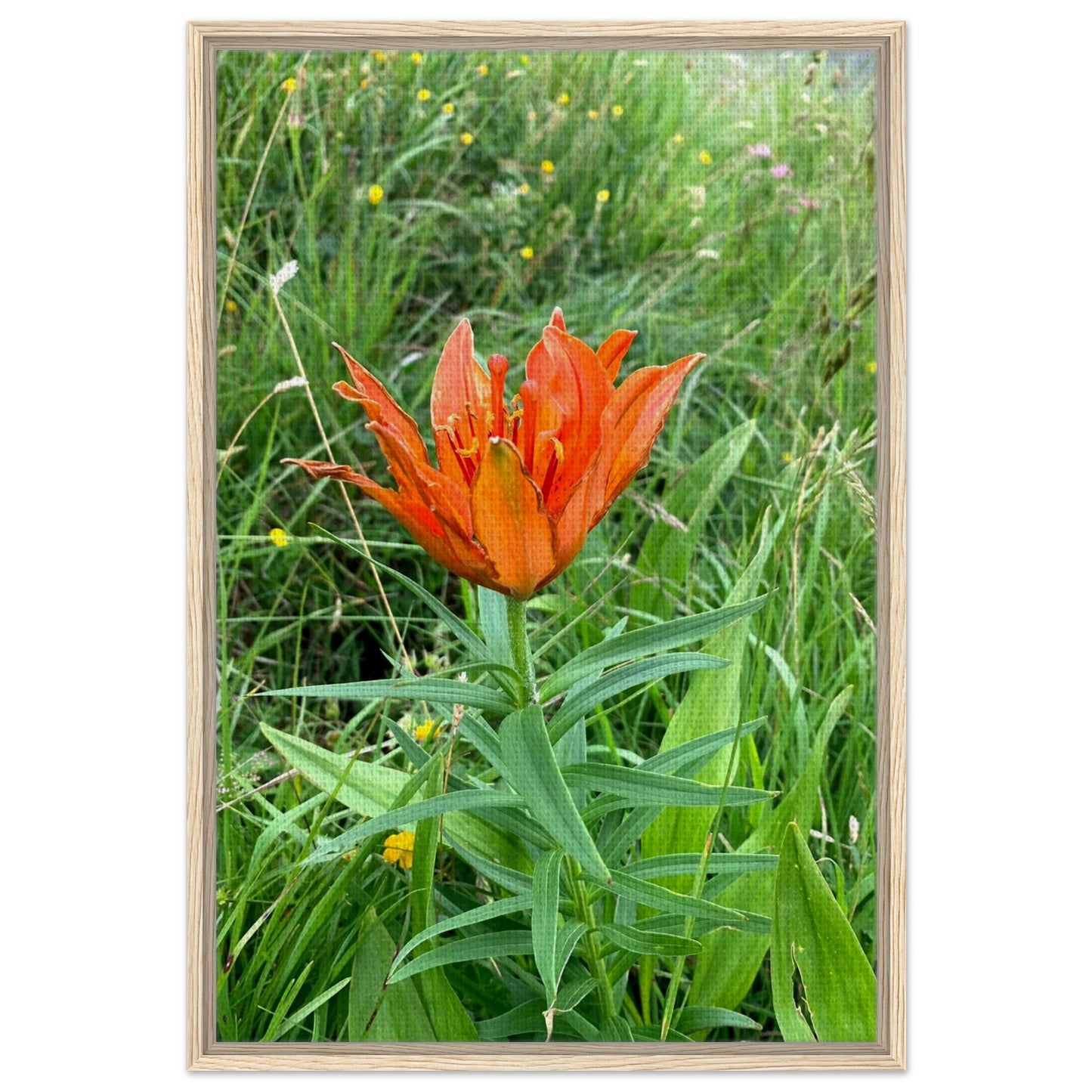 da81a148-9662-4535-874e-8b987ad464b8