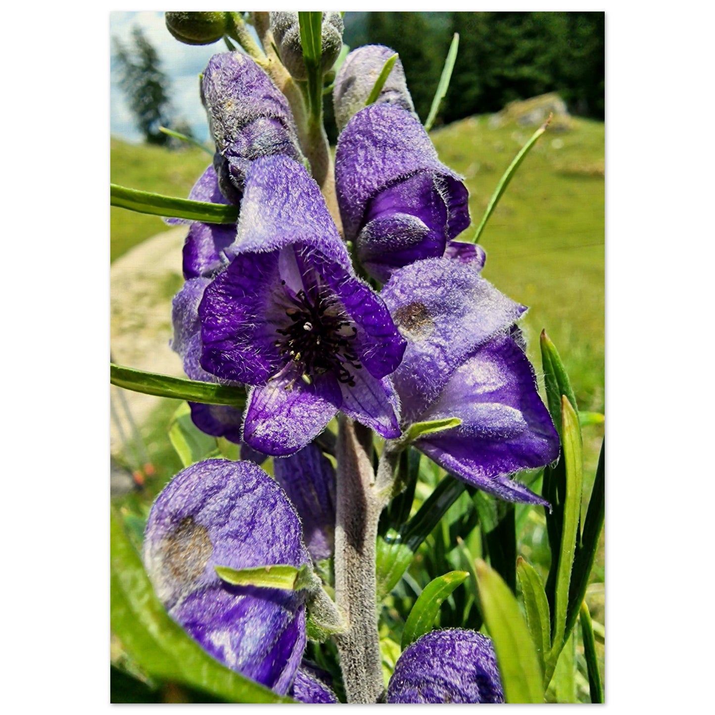 da925721-e143-46b5-be3a-313822fd8c1b