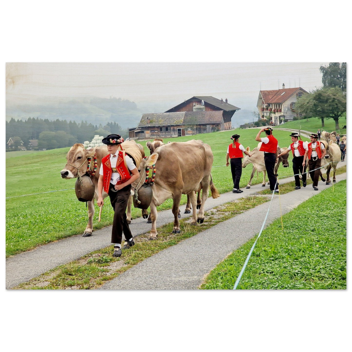 dc96cabe-7729-4cab-943b-37a53efd74c7