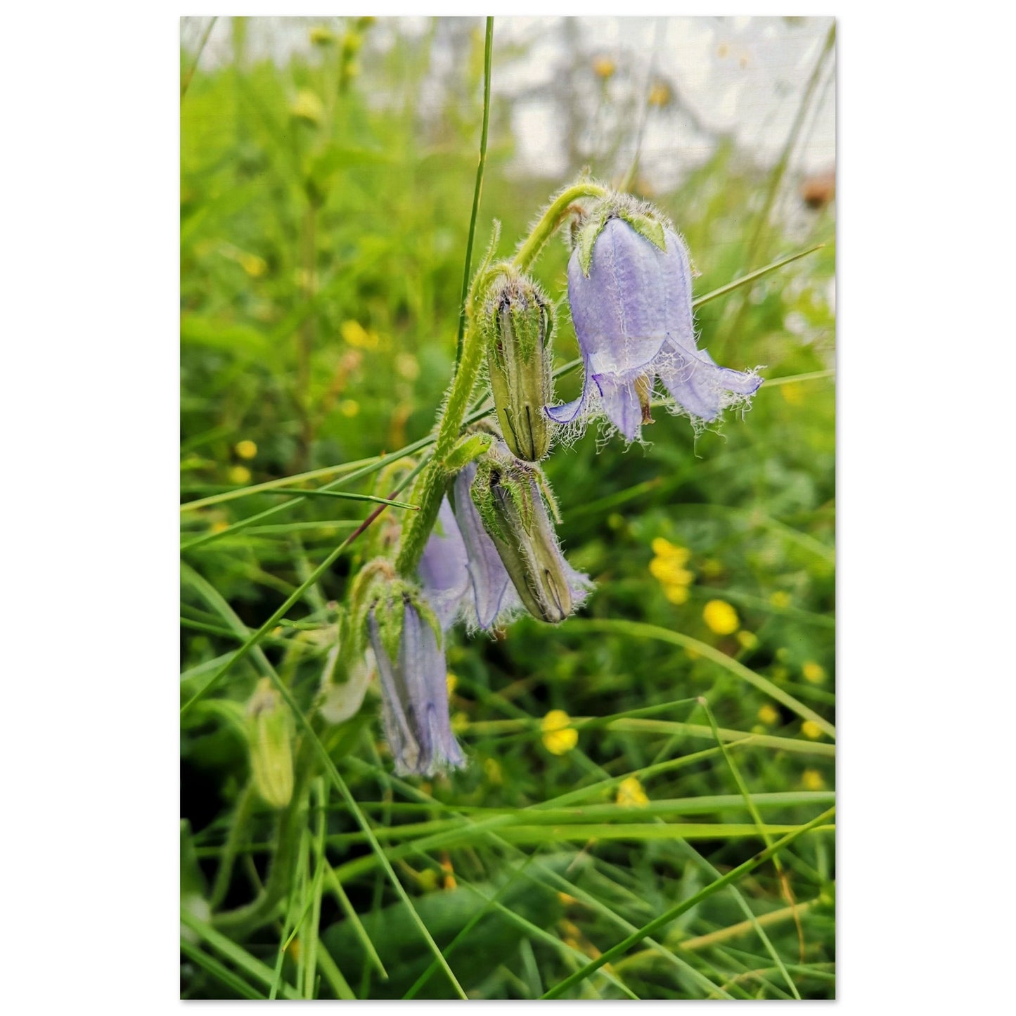 ddd74f4b-95cb-464c-9413-a7b0a388325d