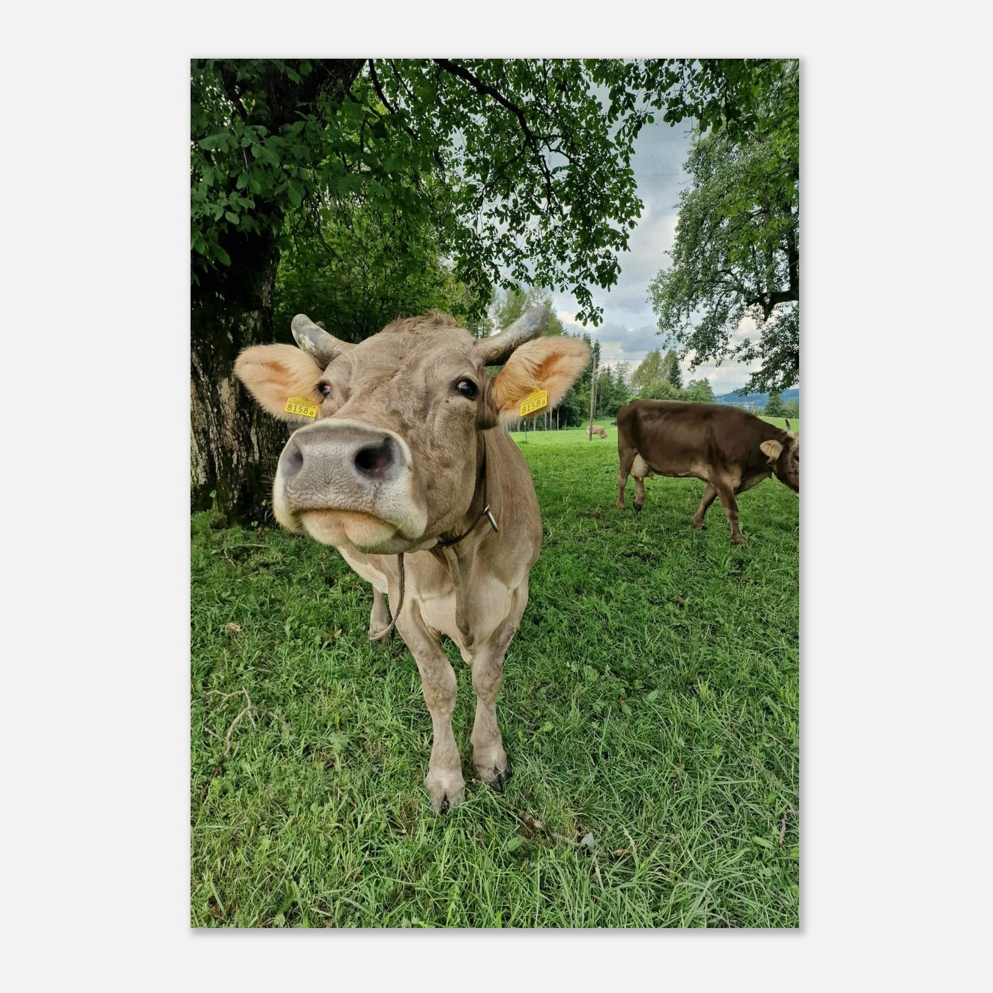 df4fc870-d861-43bb-994d-d7d9d512cc52