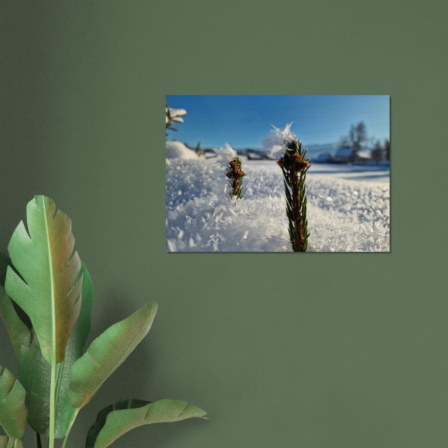 dfb1a771-713f-4c78-9d17-400dda5627f9