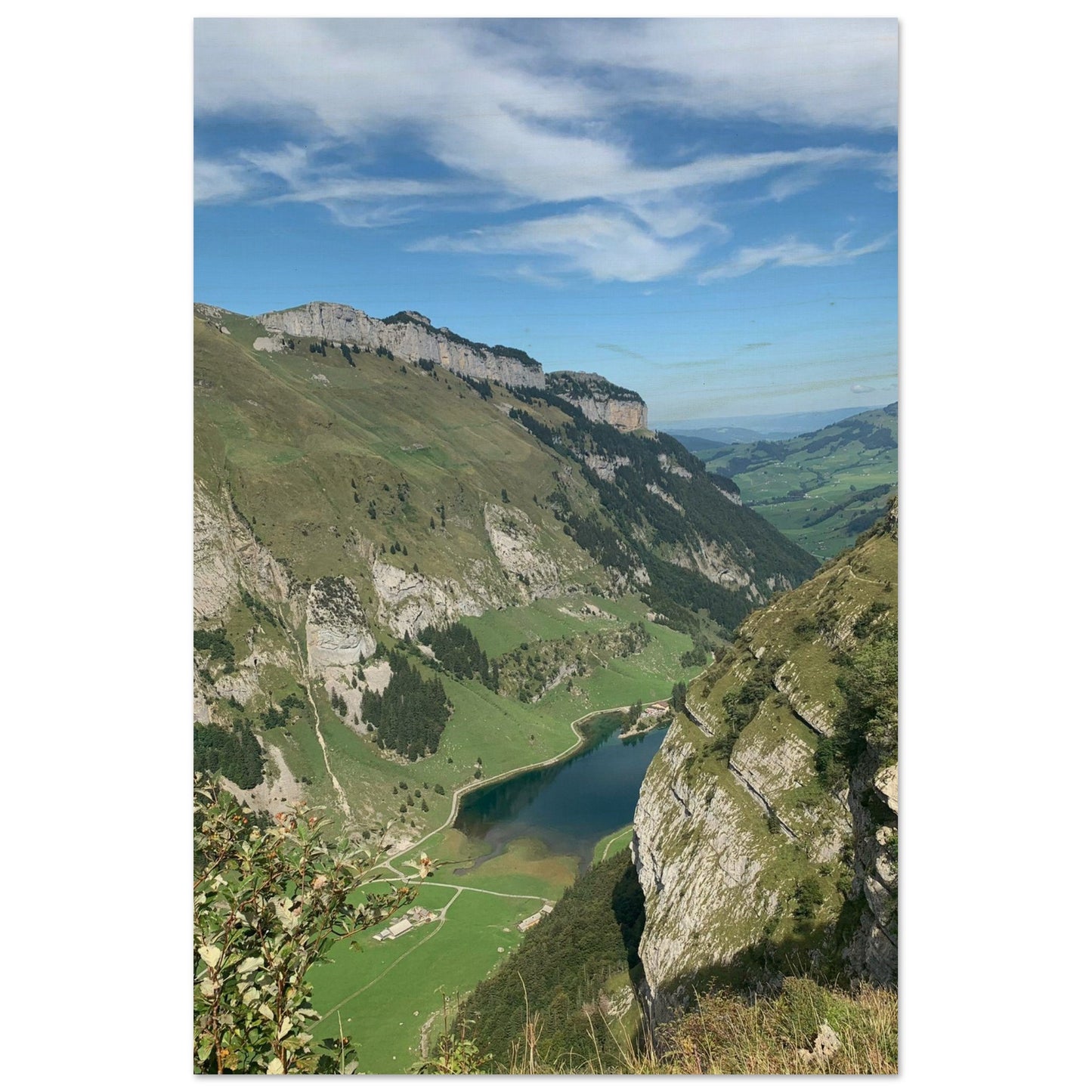 e086e06d-d08a-4eac-8f66-1ff4d08566d6