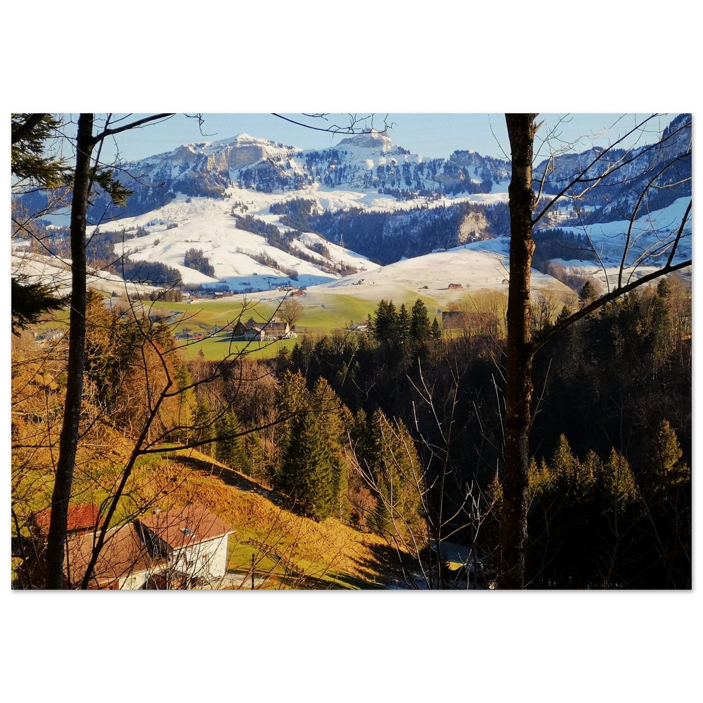 e08909d6-a7eb-4d52-b4c6-2bdd9f85998a