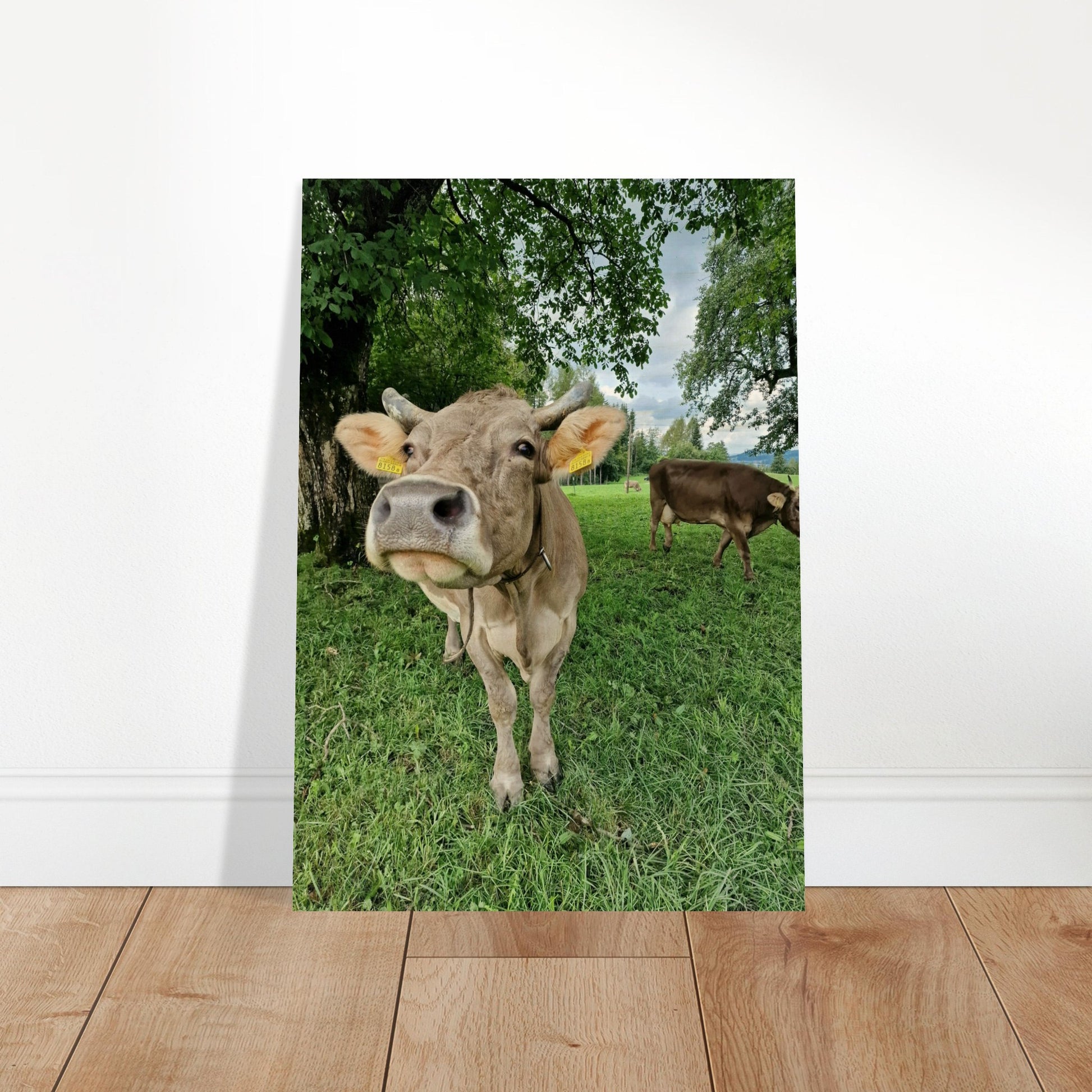 e19977cb-206b-403d-8e0f-187f4011b82c