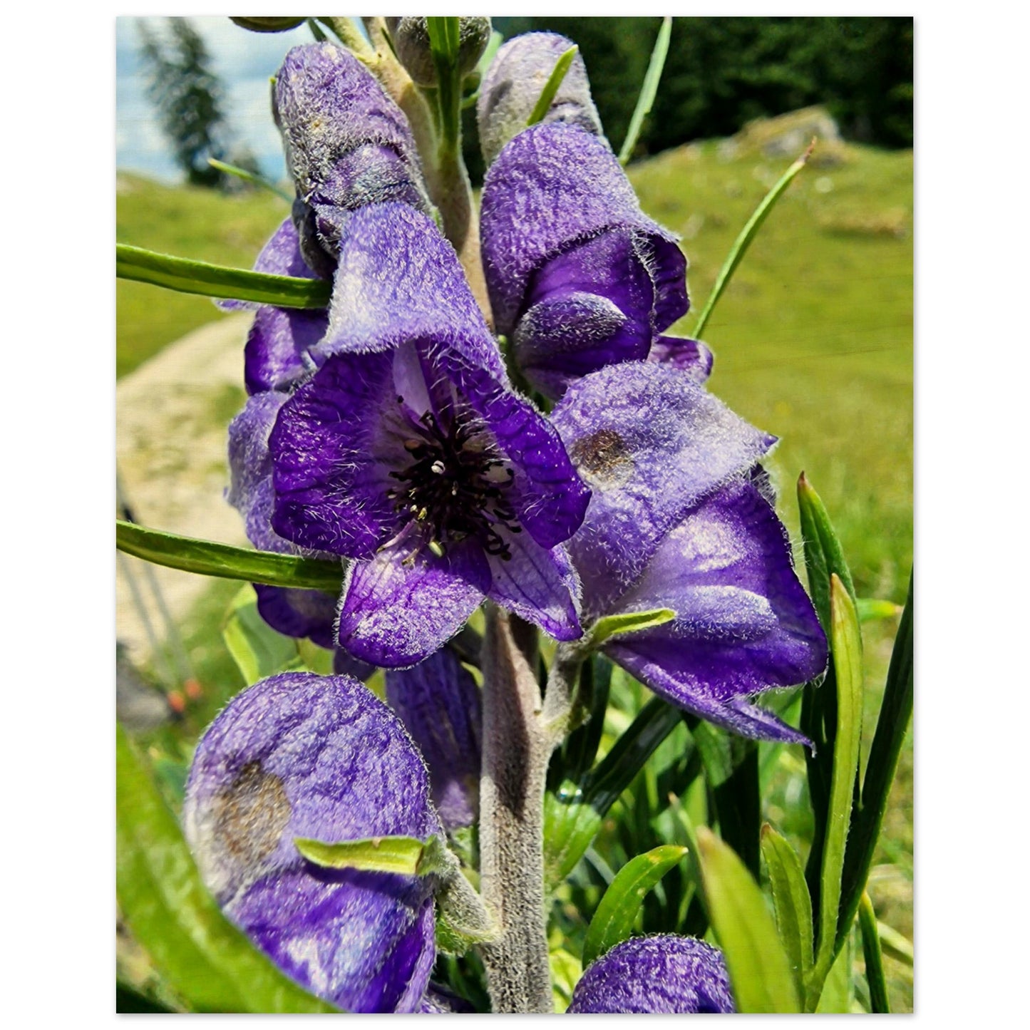 e1c47a46-823d-44b9-8035-d214ea225671