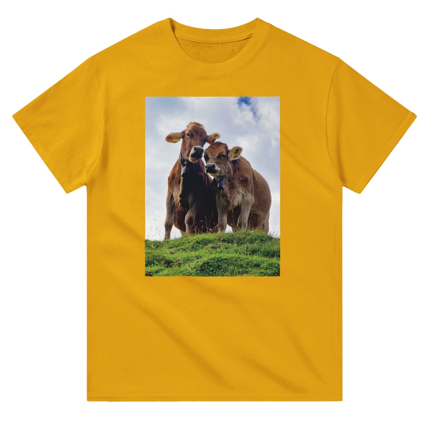 e27d6029-3af7-460b-9575-817041ba5a6b