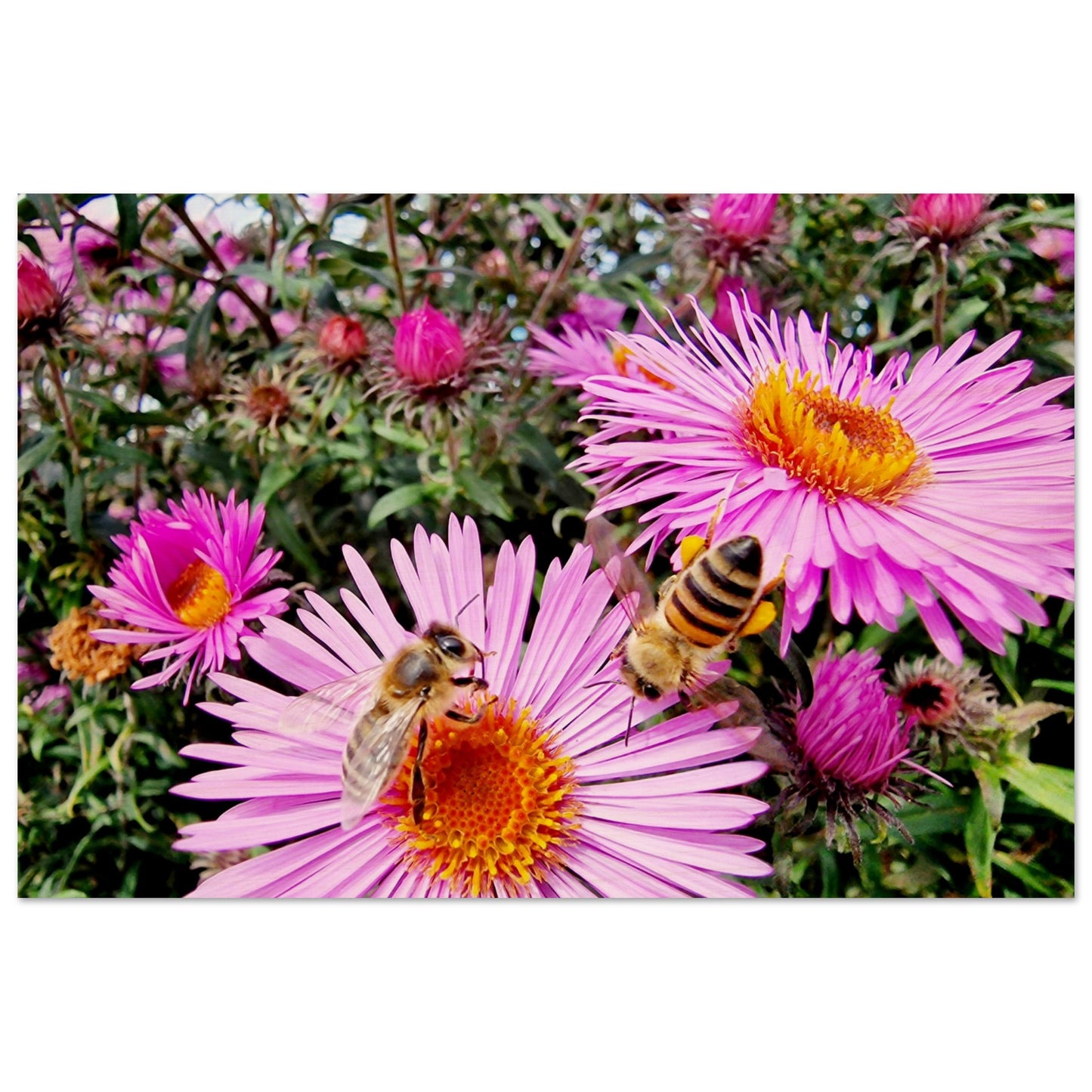 e391fa0b-428a-47c7-9f21-99780e038564