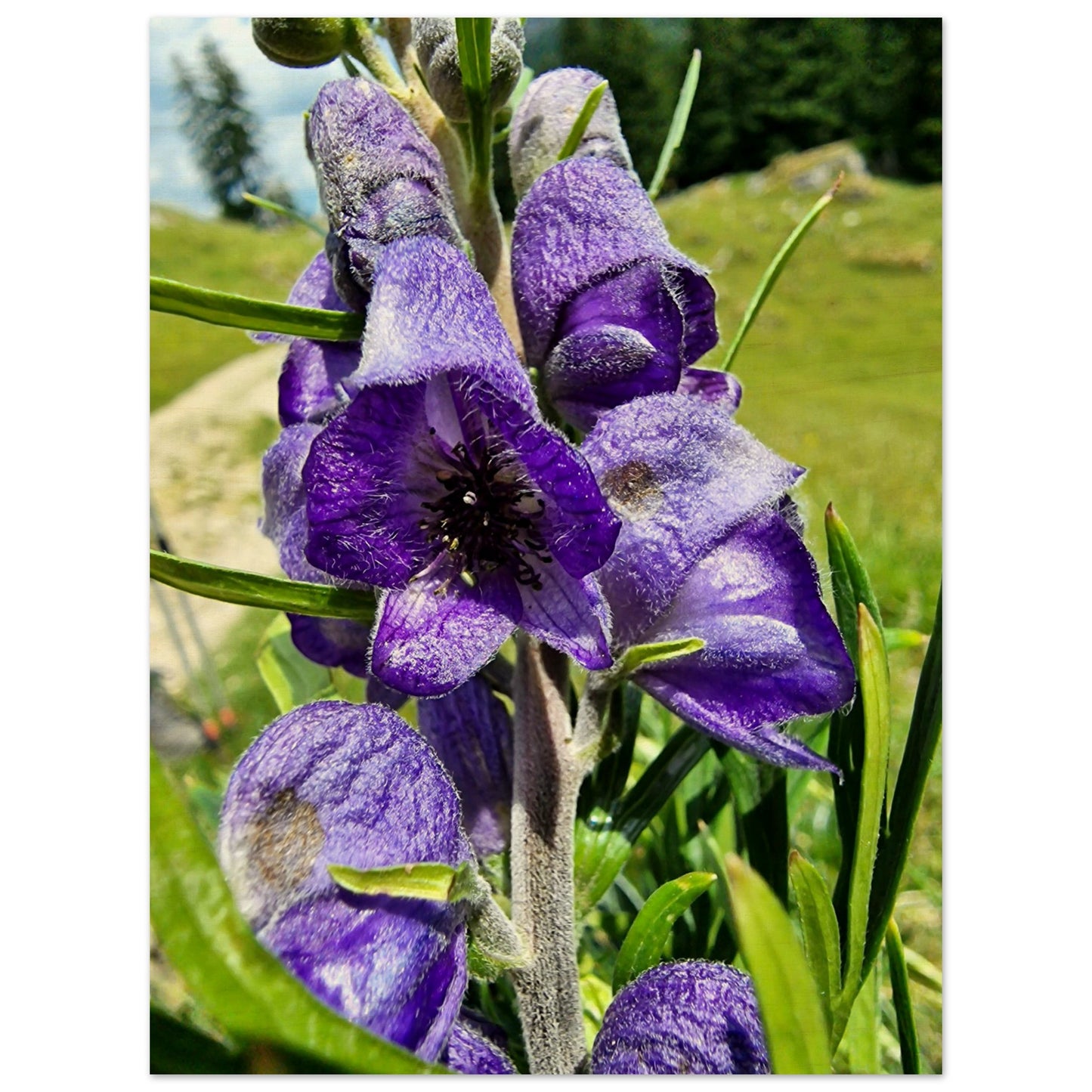 e409c48d-c969-40ee-9cd2-8ee8433d8a7a