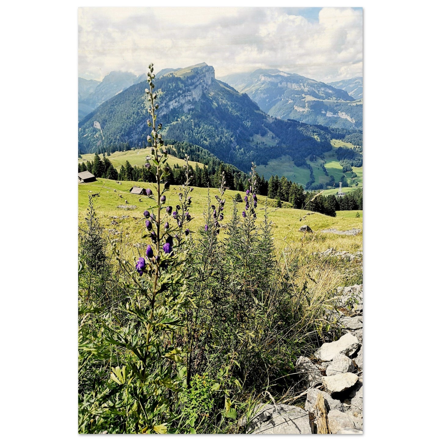 e492cc46-417e-423c-b411-82e0c2f473a1