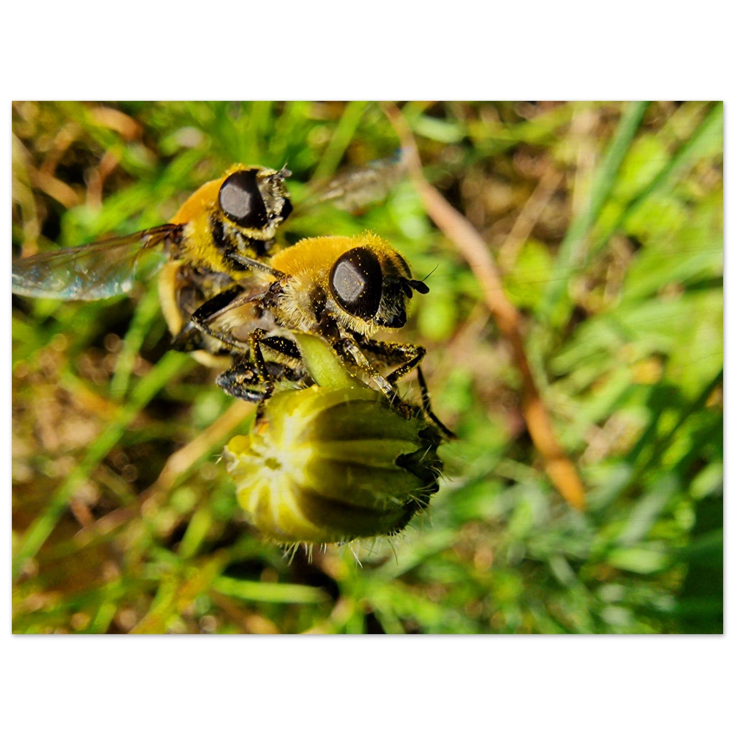 e529c24f-b37d-457b-89d7-d3139310736a