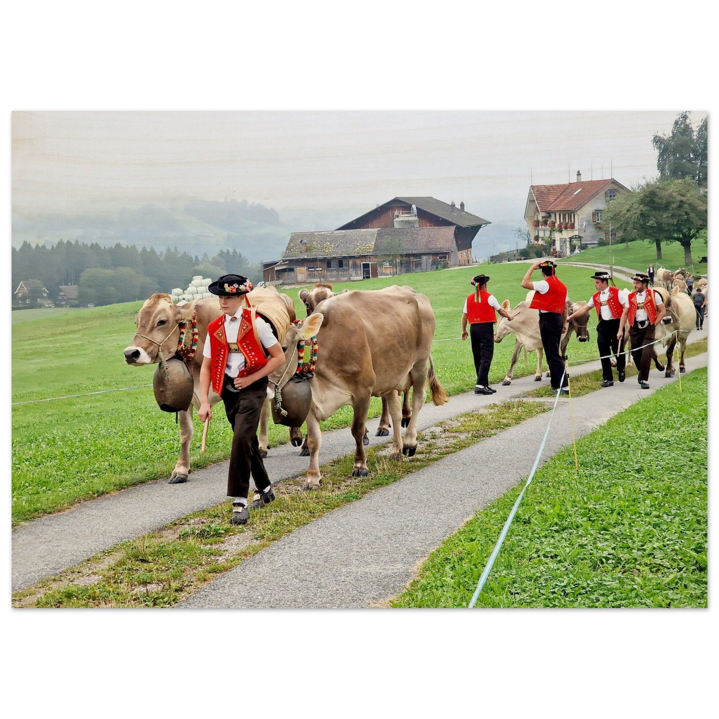 e57987c3-391e-4635-890a-02678152d66b