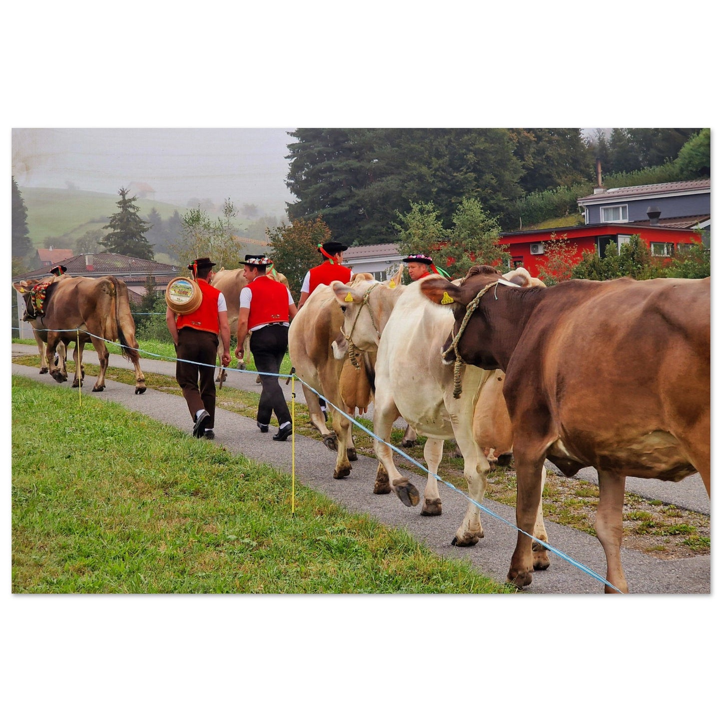 e8dd0daa-a1a2-45d7-a757-e9d1616aa0e9