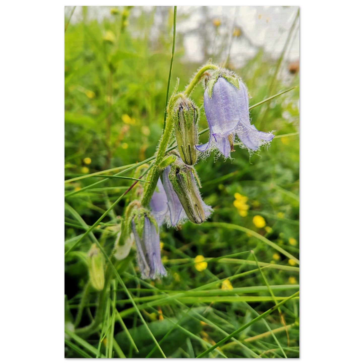 e920b4a8-0684-4317-a5b5-38a050e8d7c9