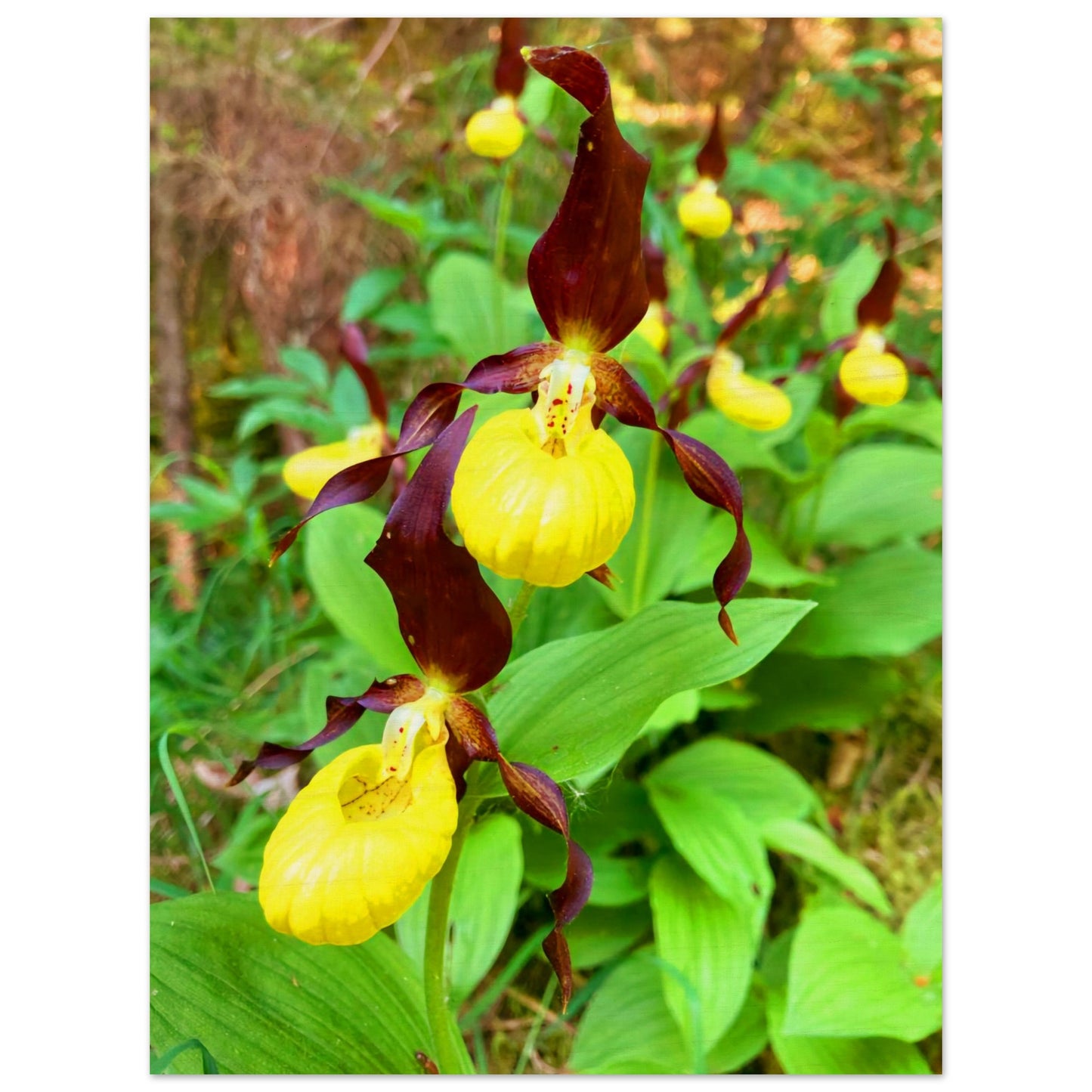 e9bfdcf9-592b-4d47-be8f-2425c3603de9