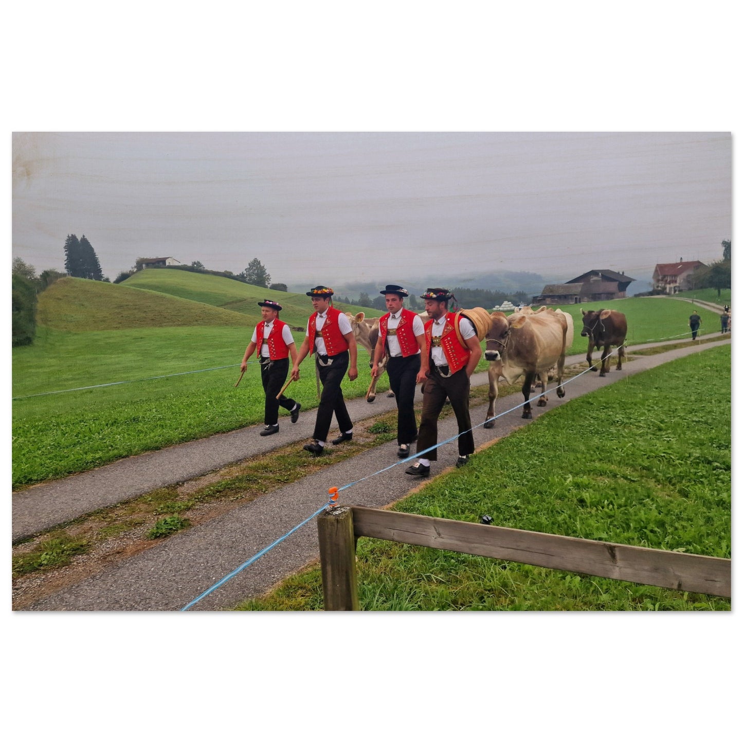 e9f25912-a3b0-4127-ab59-77d748eed2ab