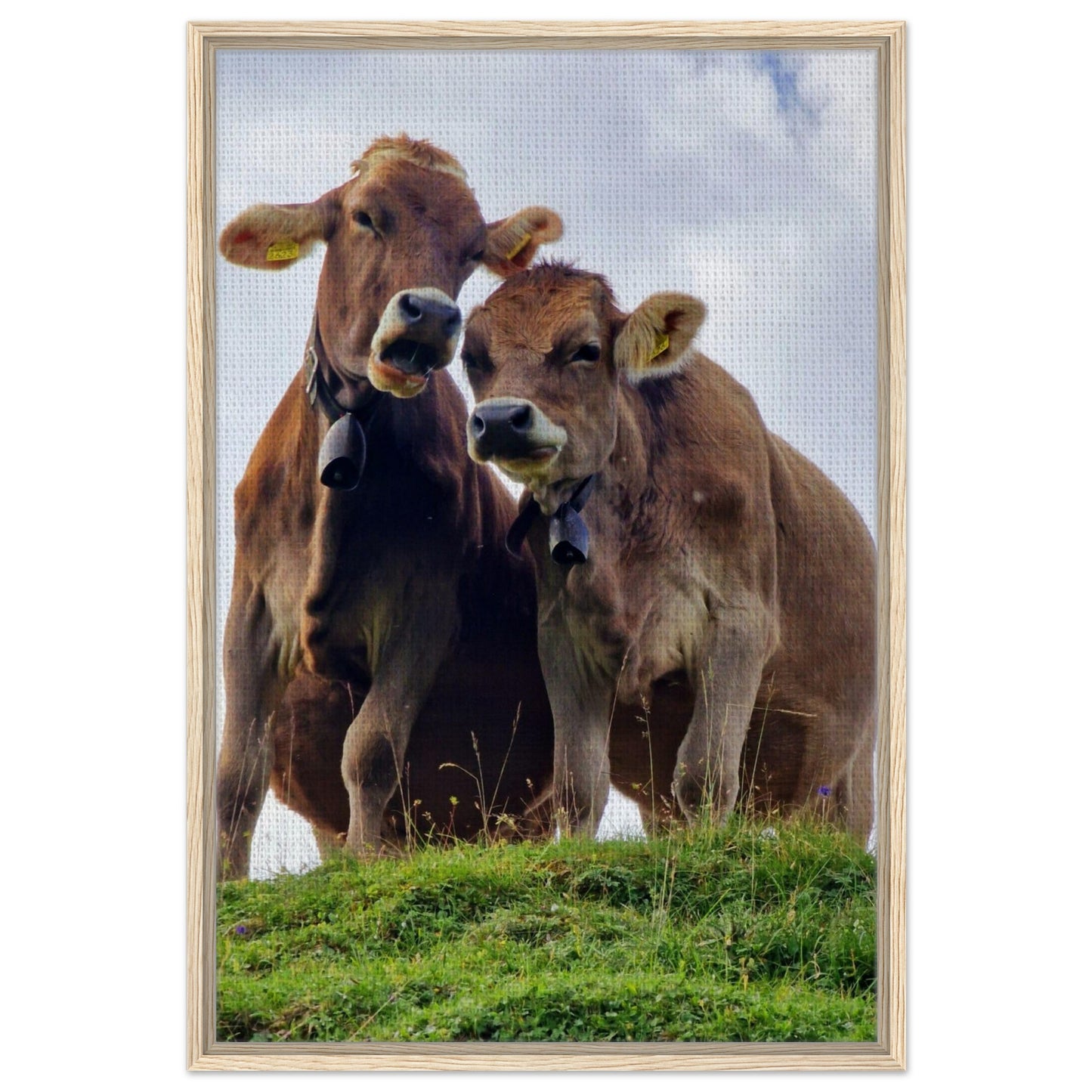 ea02713a-da8b-4ca7-8998-817134a3672b