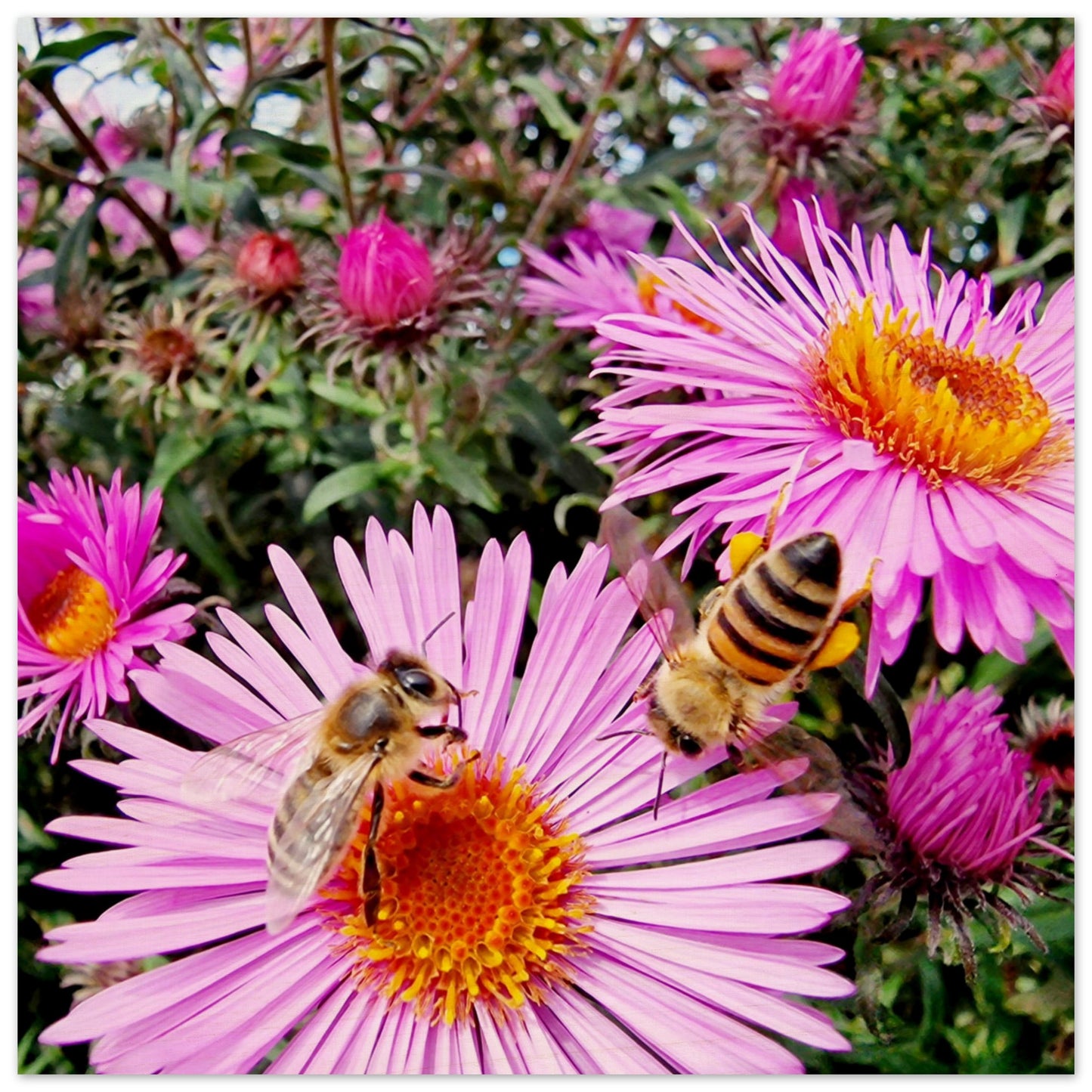 ea89694f-2012-4dd7-867e-3b602ebb8a4e