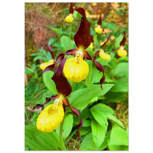 ecd542fe-cd4d-4931-9276-56feb9003024