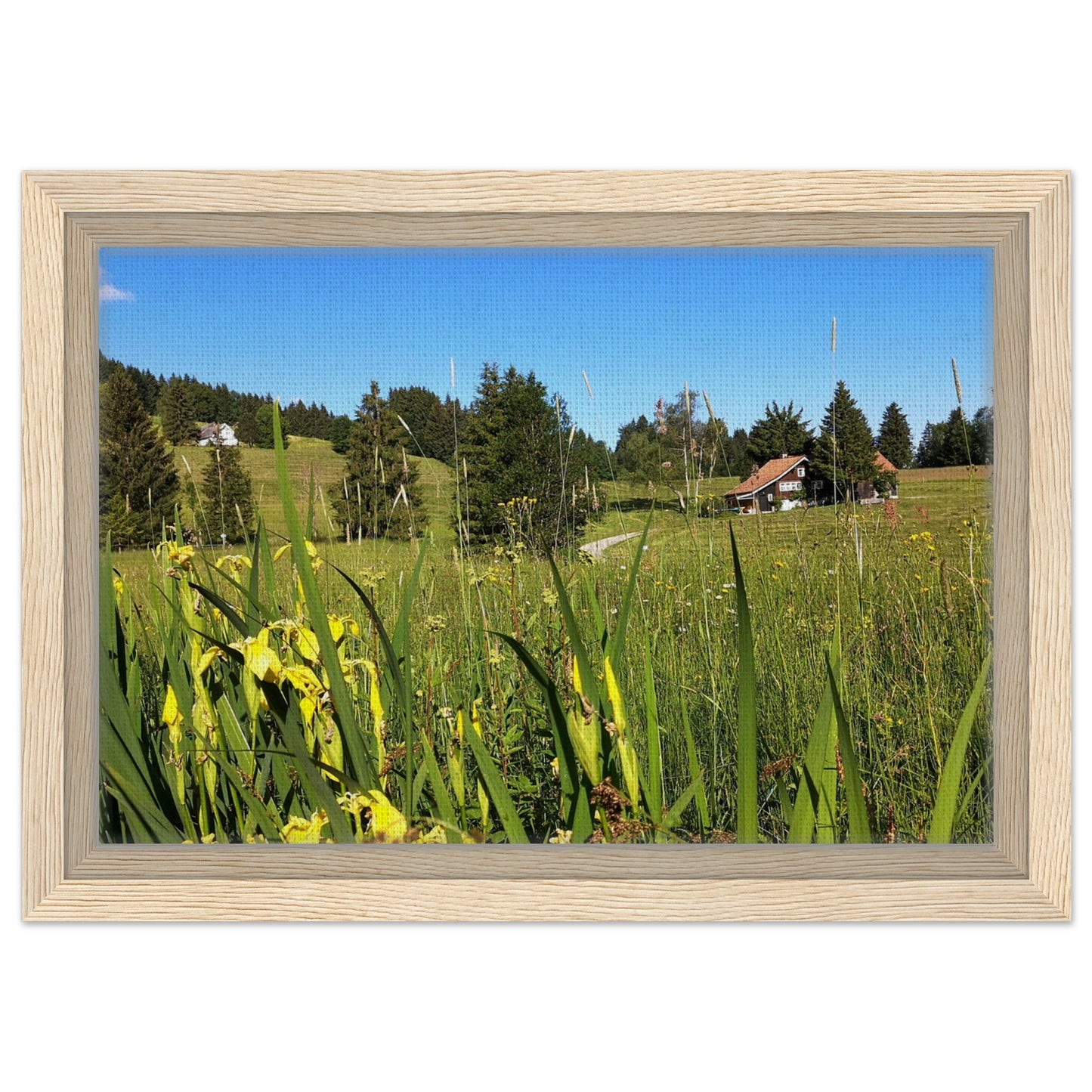 ed1cfd7e-d34f-49dc-b247-6359128c1bb6