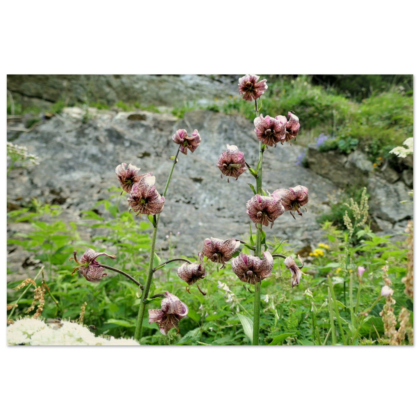 ed803eb9-d8f8-48e7-88a0-d20b6753c86d