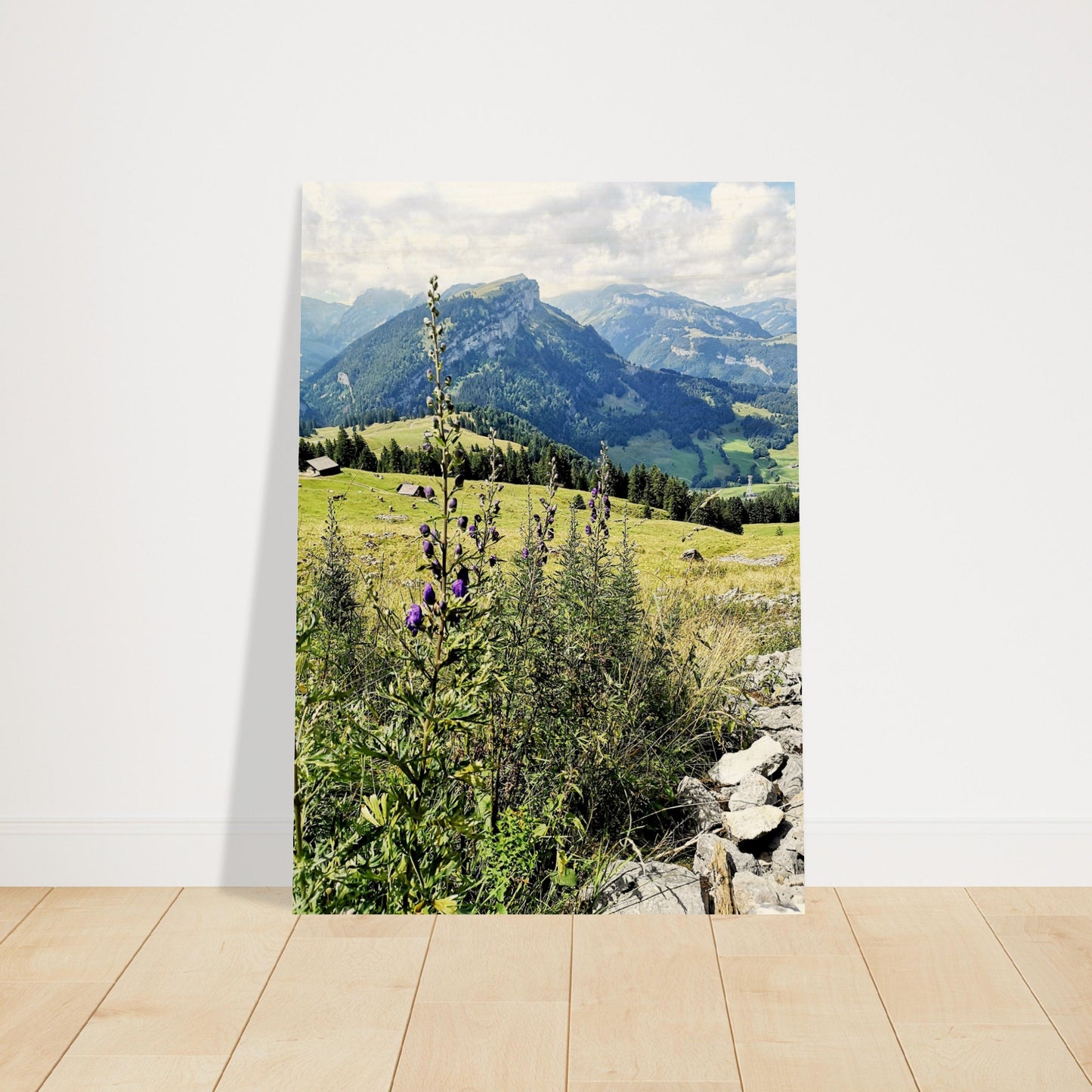 ed86d192-4c38-408c-bb45-246684d51ab2