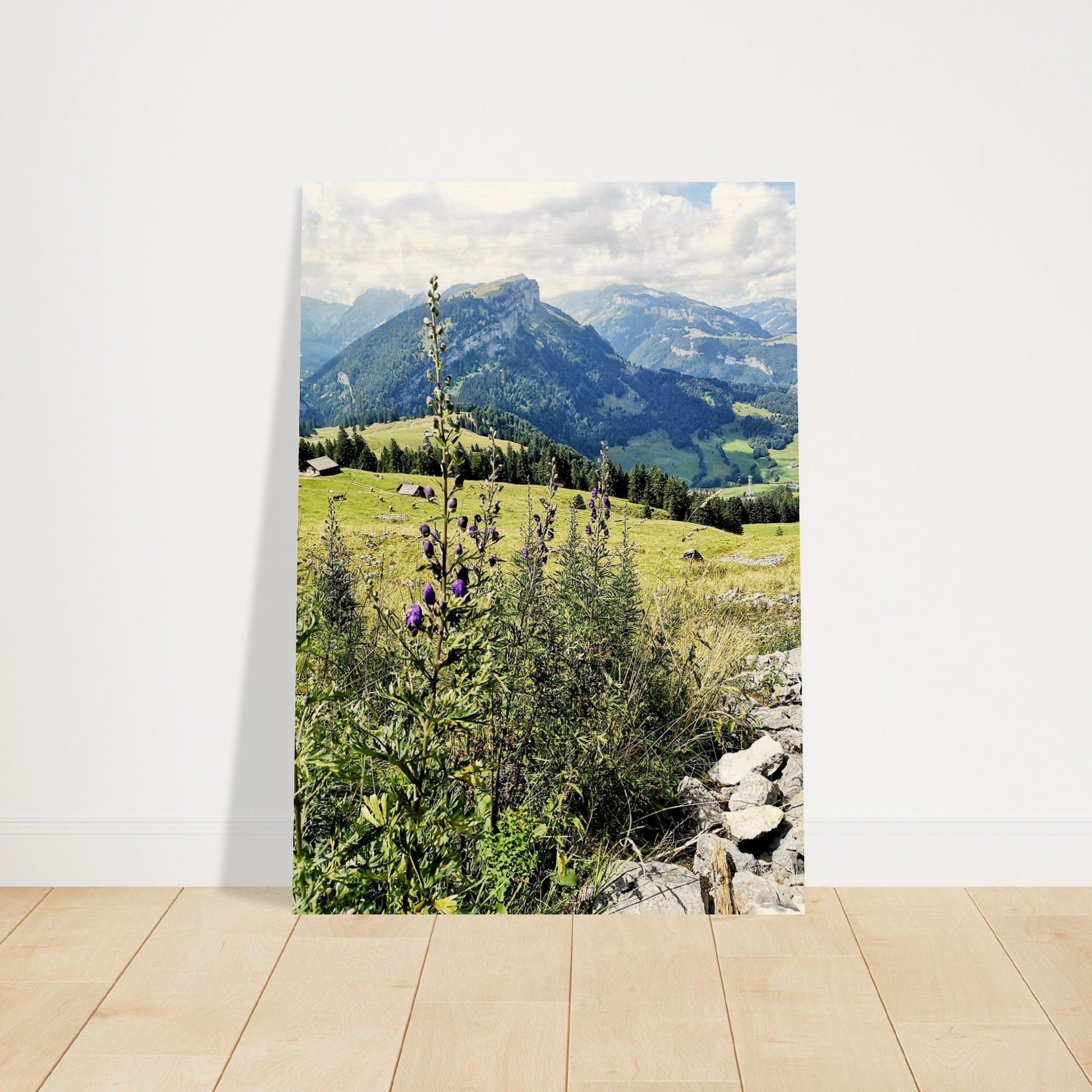 ed86d192-4c38-408c-bb45-246684d51ab2