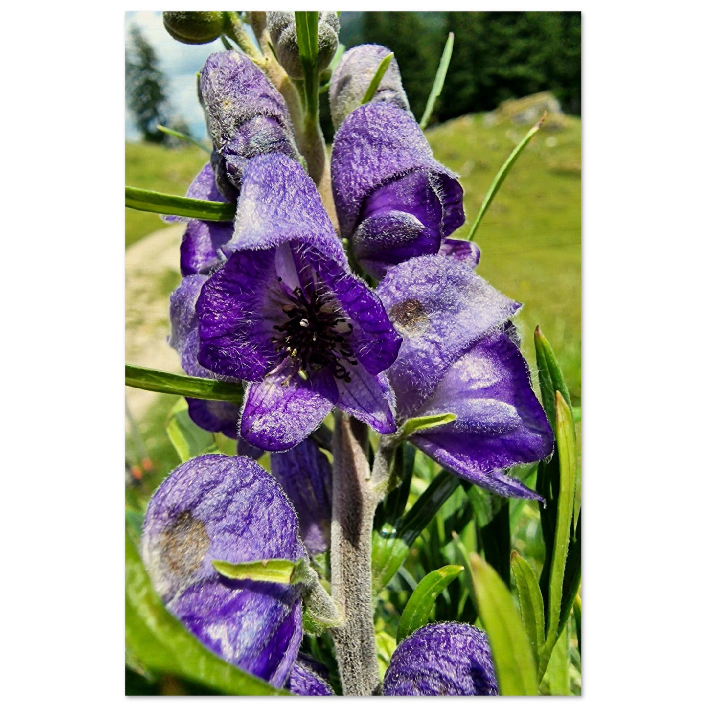 ed8b1467-04c2-45da-86a7-a30c6019e63f