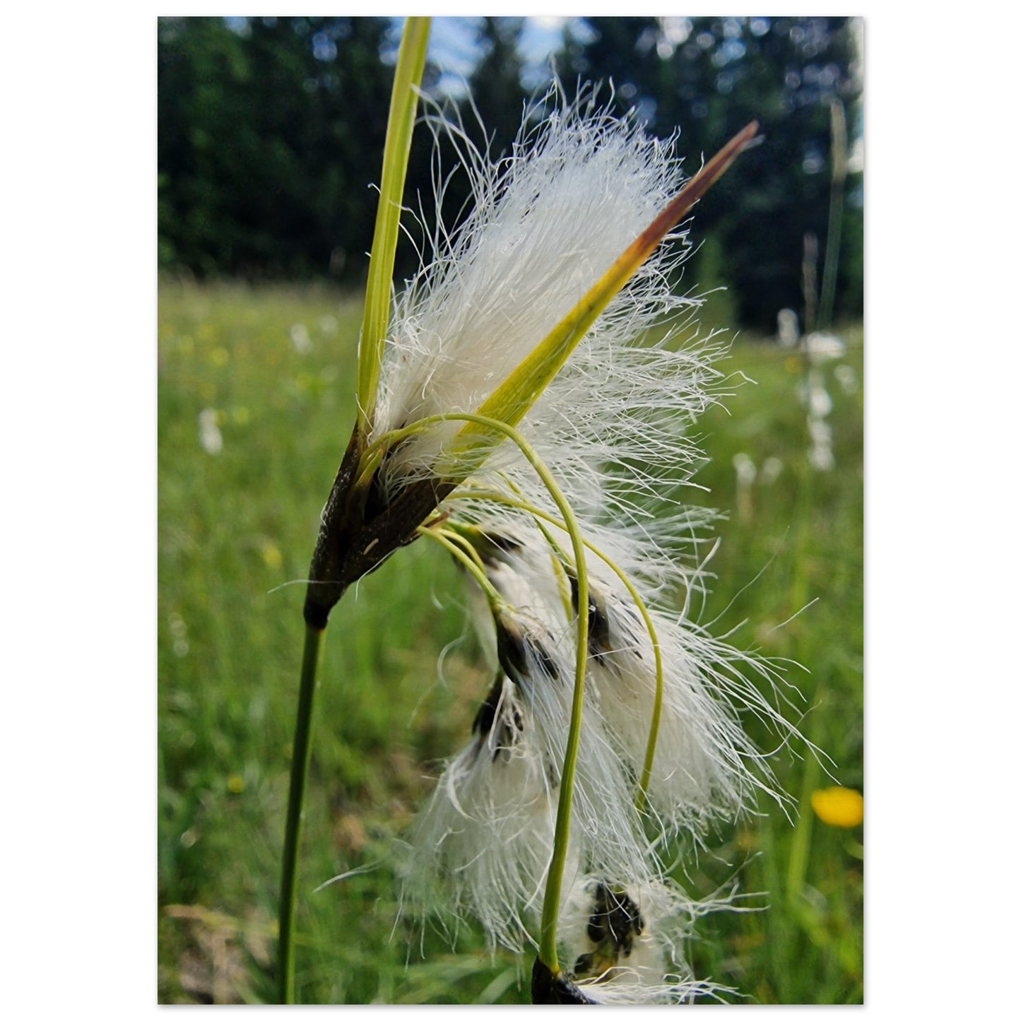 eedd8aef-e5b8-4797-9f1d-f8d777473884