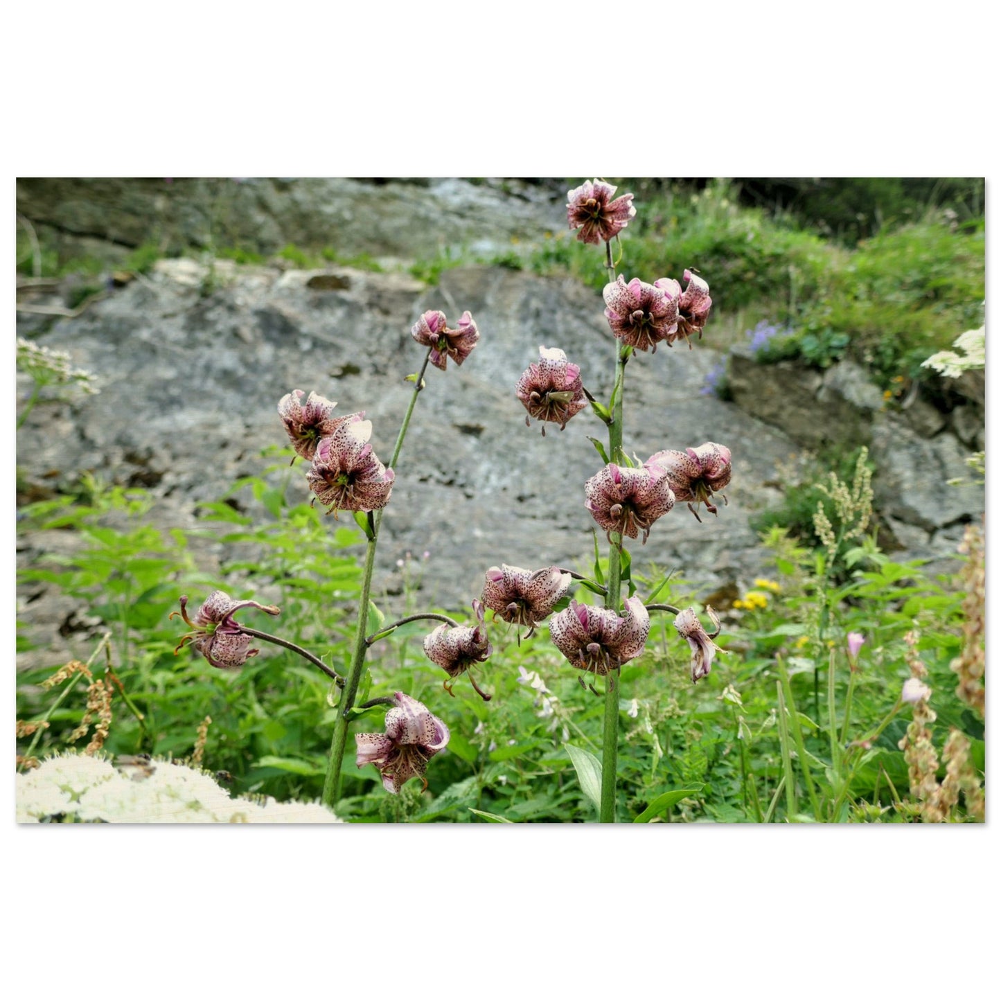 f0b1e402-177f-4cb6-a098-4532cd1b2d63