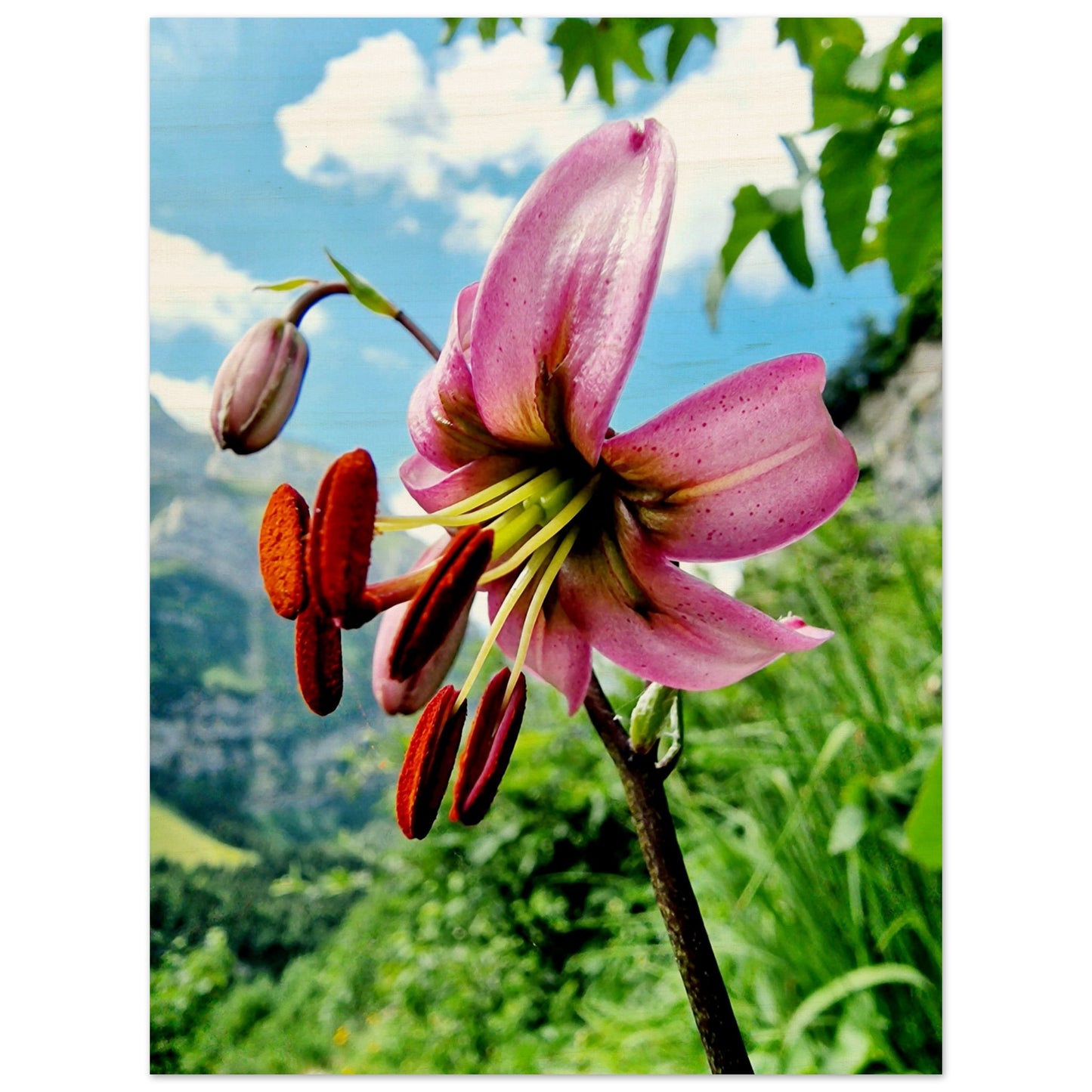 f1601ae1-4cd6-4824-89d2-21e394d23a3d