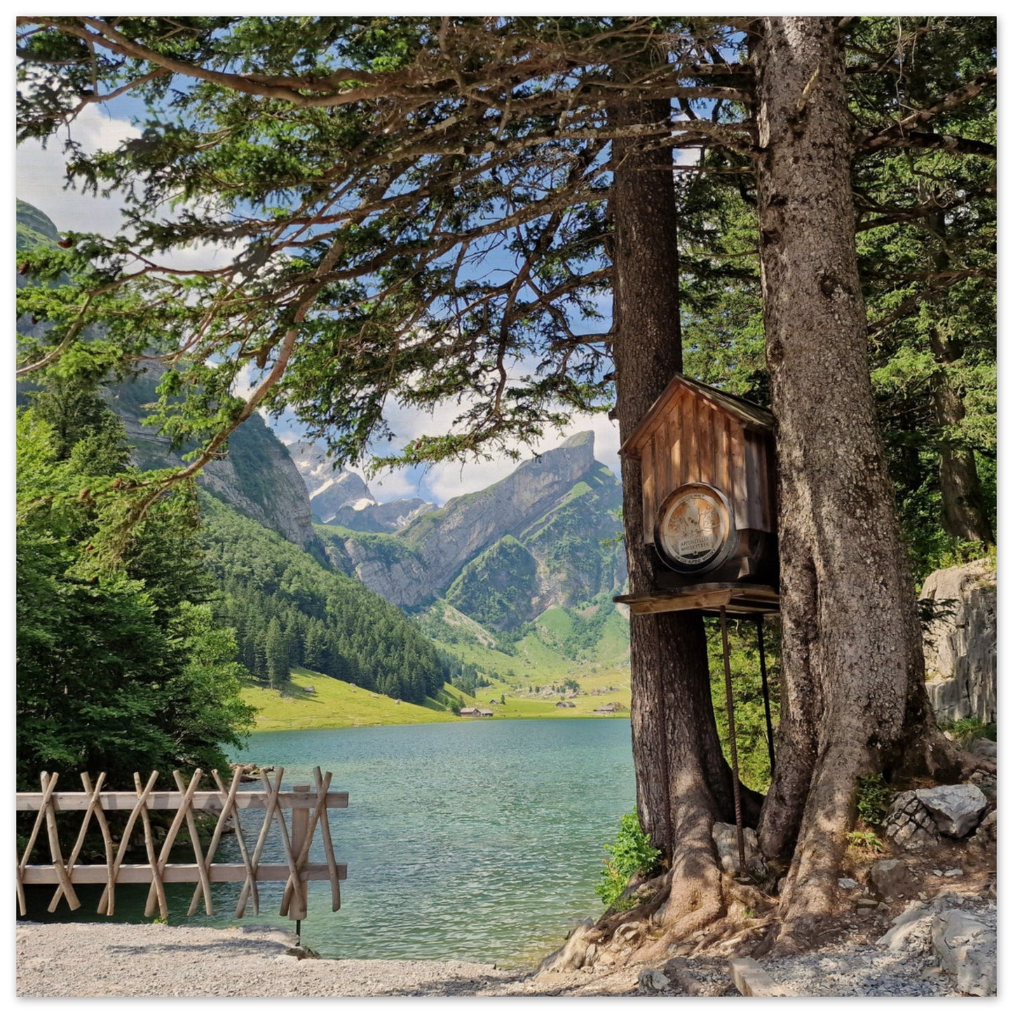 f1c44b8c-c5ca-488f-9725-eafbae4725e9