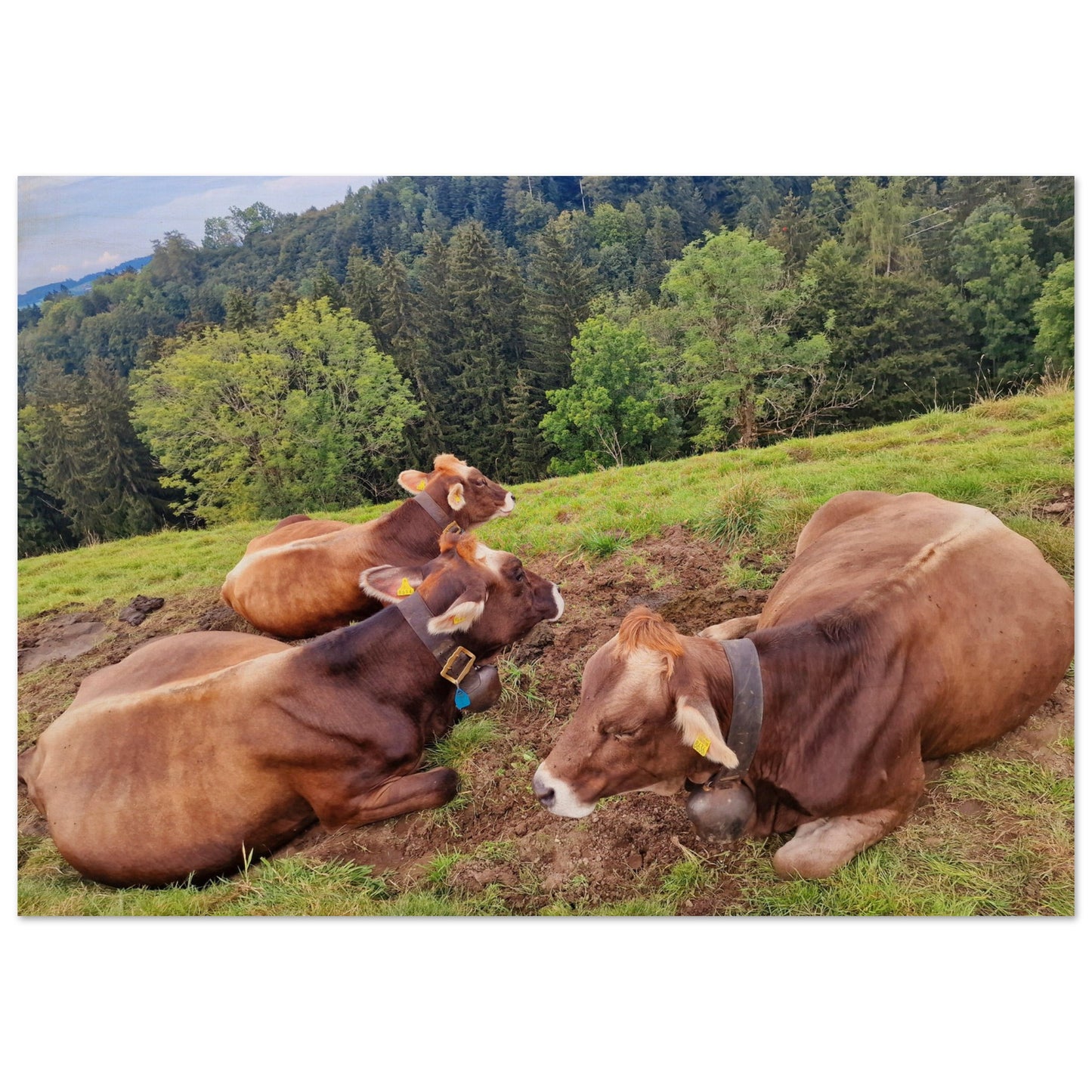 f29a812f-4626-475d-8d89-9a6700bad15d