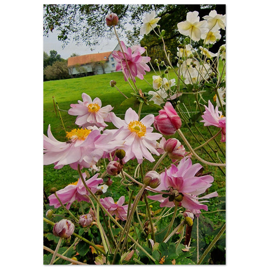 f2e047d7-cfb1-42b7-96de-58ad3d24211a