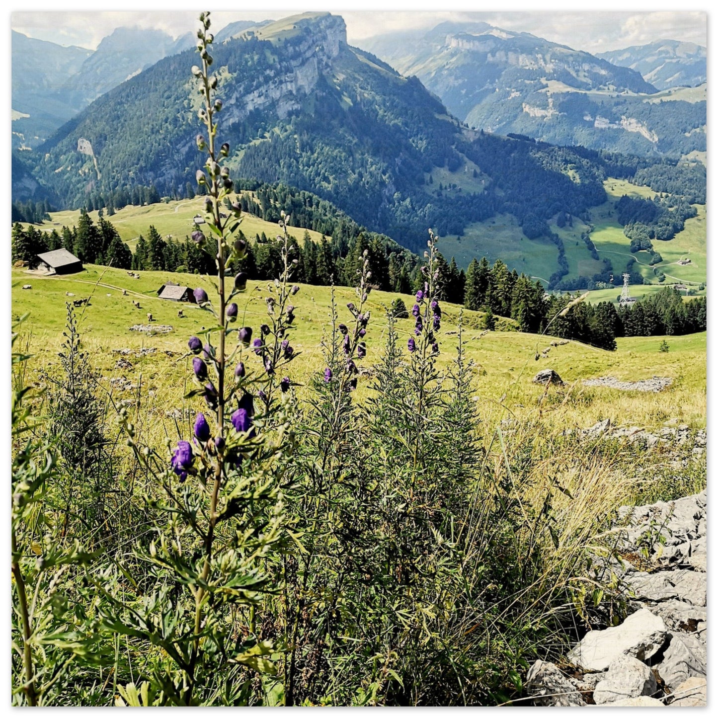 f33db250-9e4d-42d3-bed9-f54de6b33745