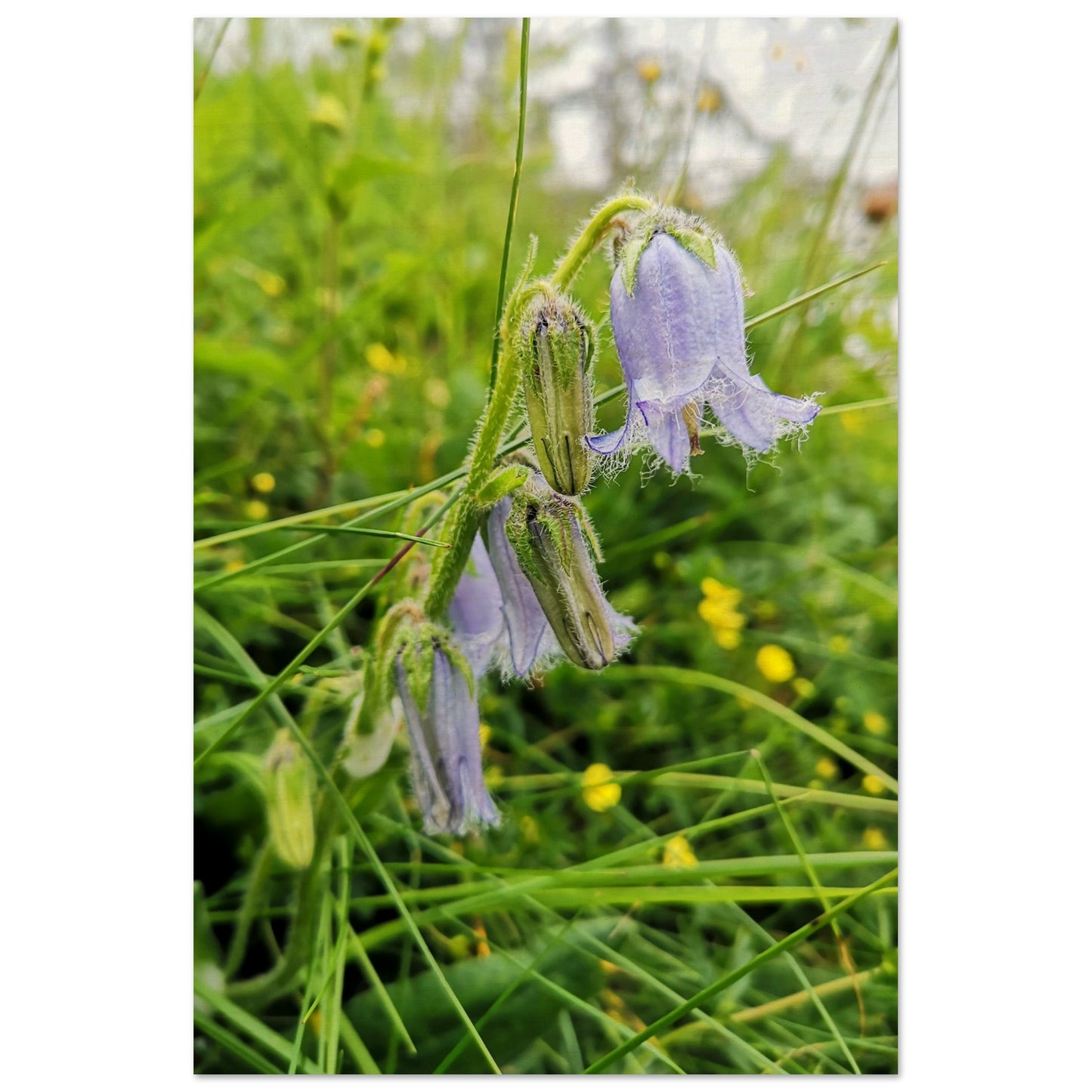 f3be08f1-23bd-49e9-8ec9-d411da40344e