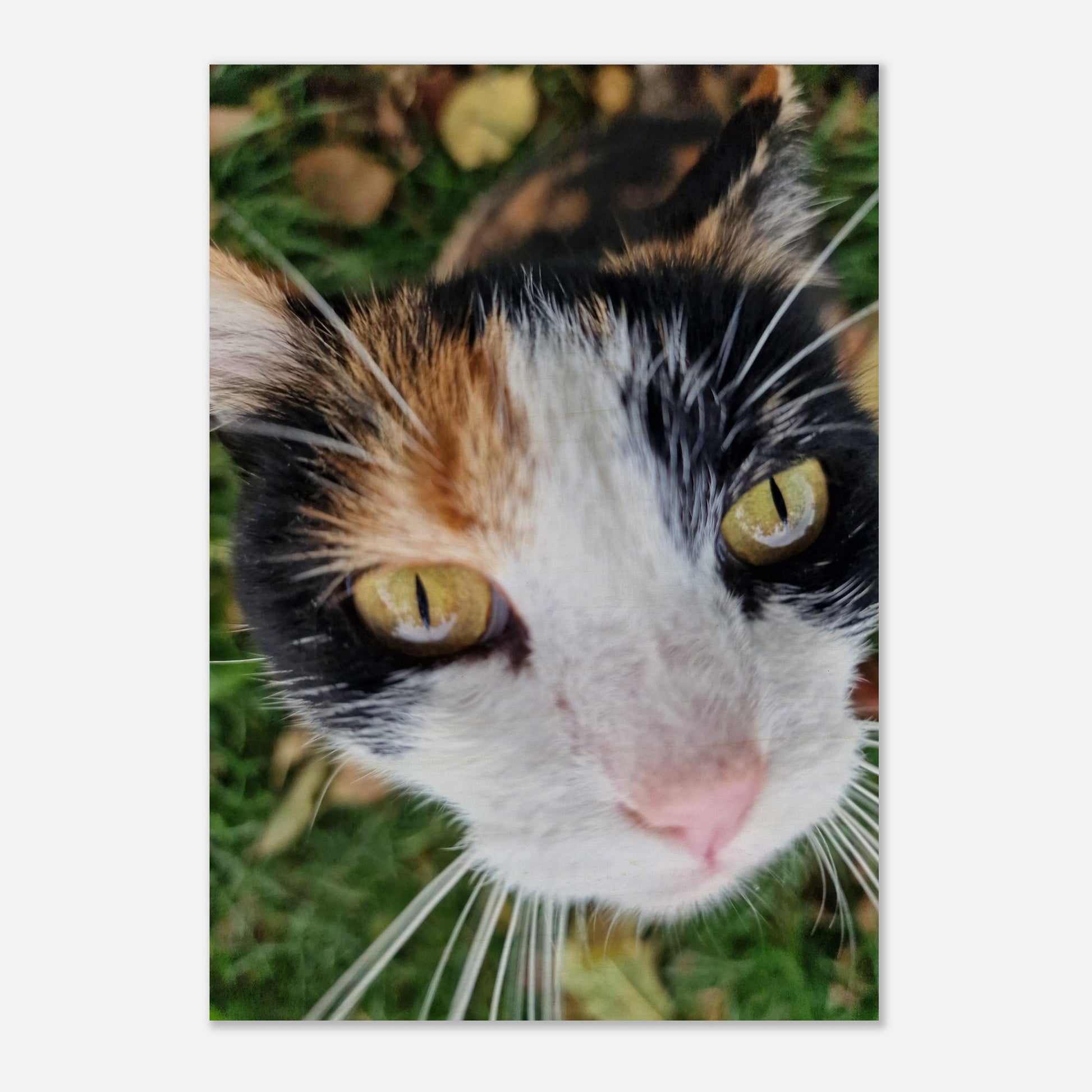 f3cfb1bf-b739-4ec2-b6f1-b8e9898b8ba1