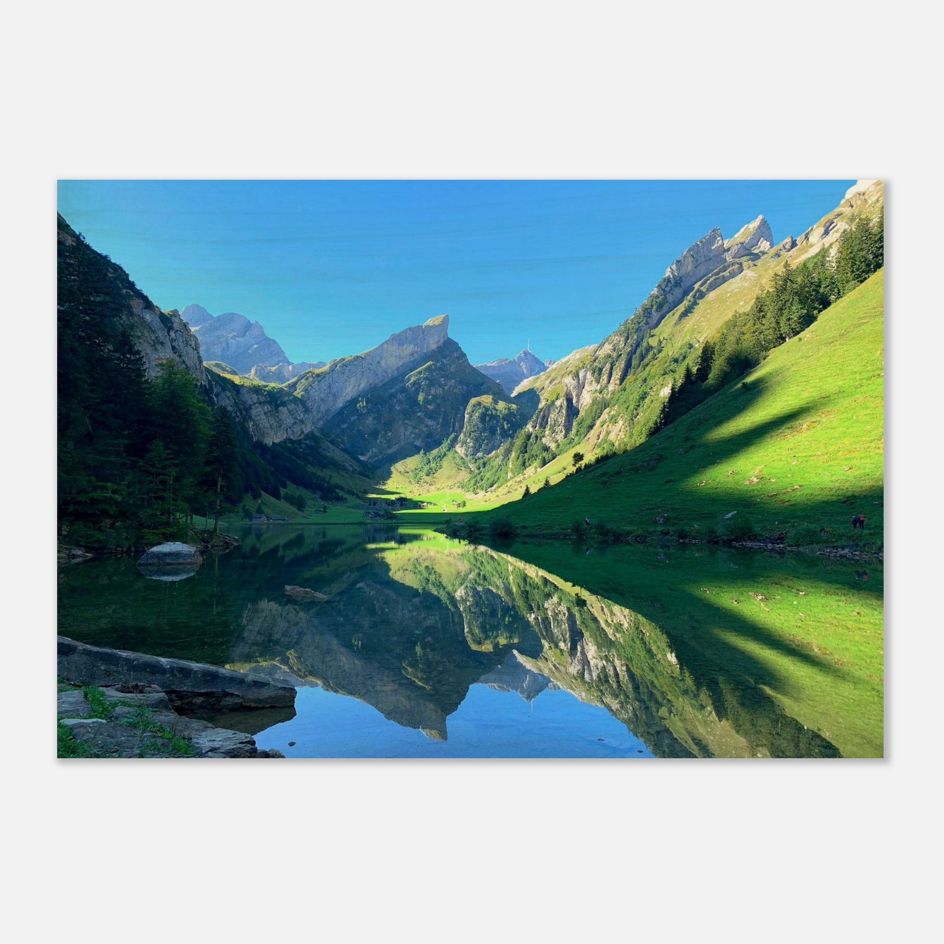 f50bec64-e0dc-4d67-a53f-524dfec3d65a