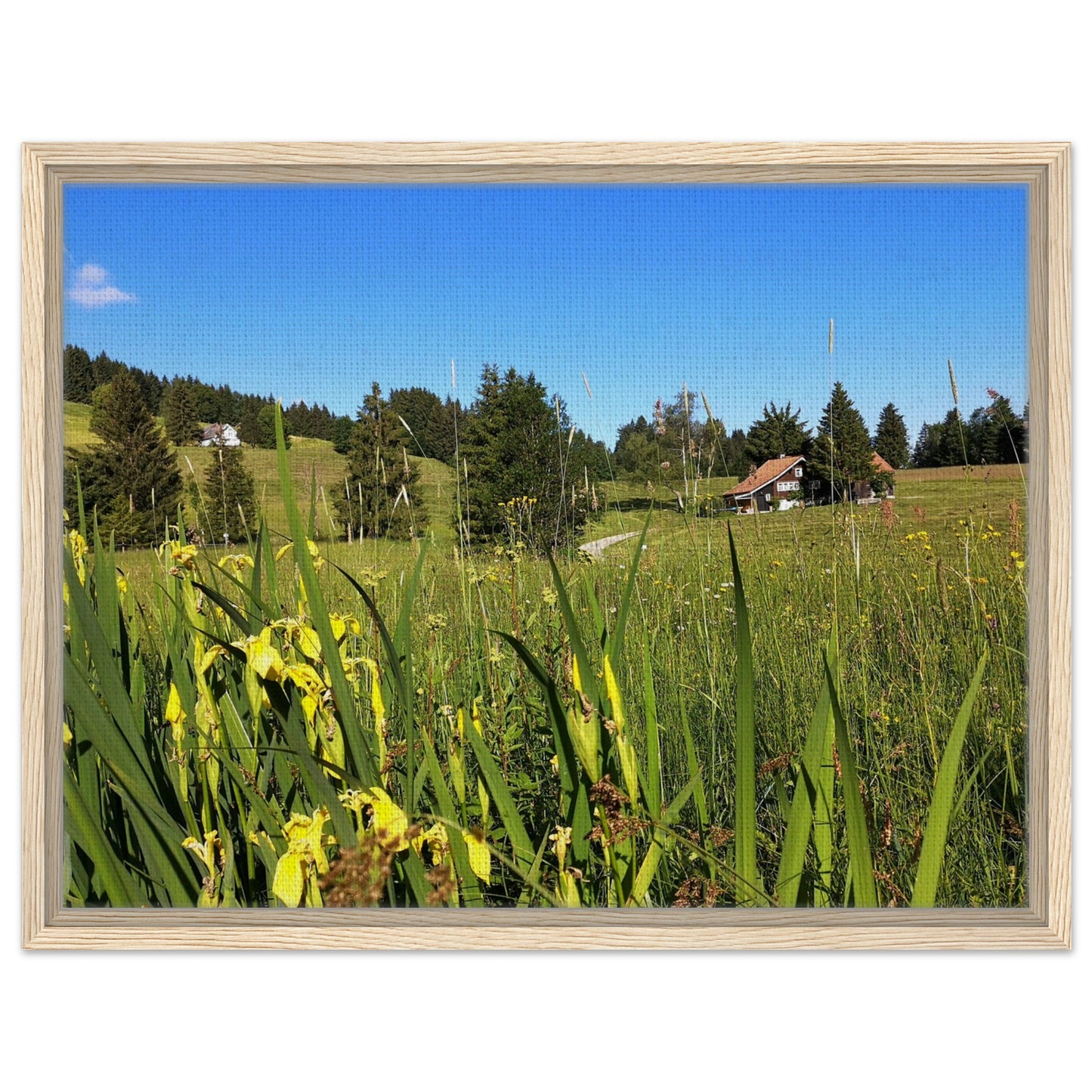 f50de053-495a-41d2-b3bf-361c847e9cfd