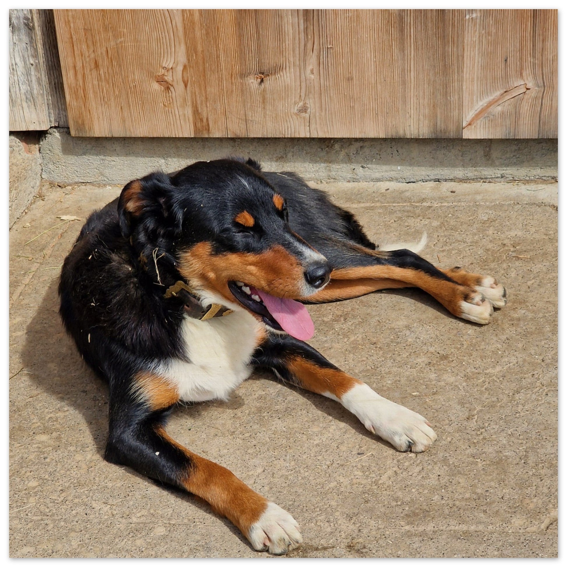 f5a821d5-c484-4157-8b3f-24b6eef8c8b6